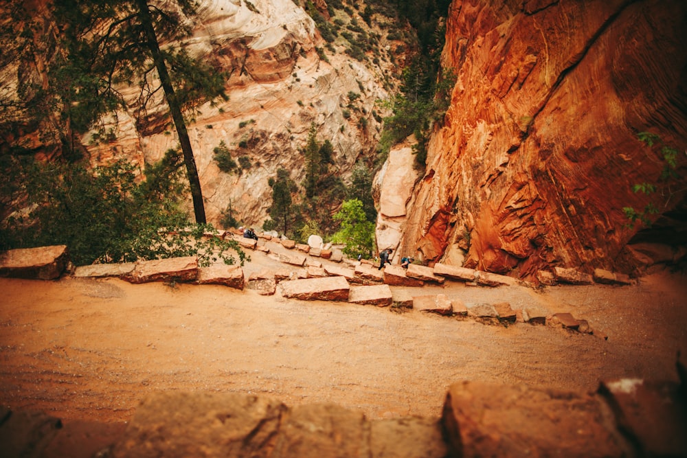 a group of people walking up a rocky path