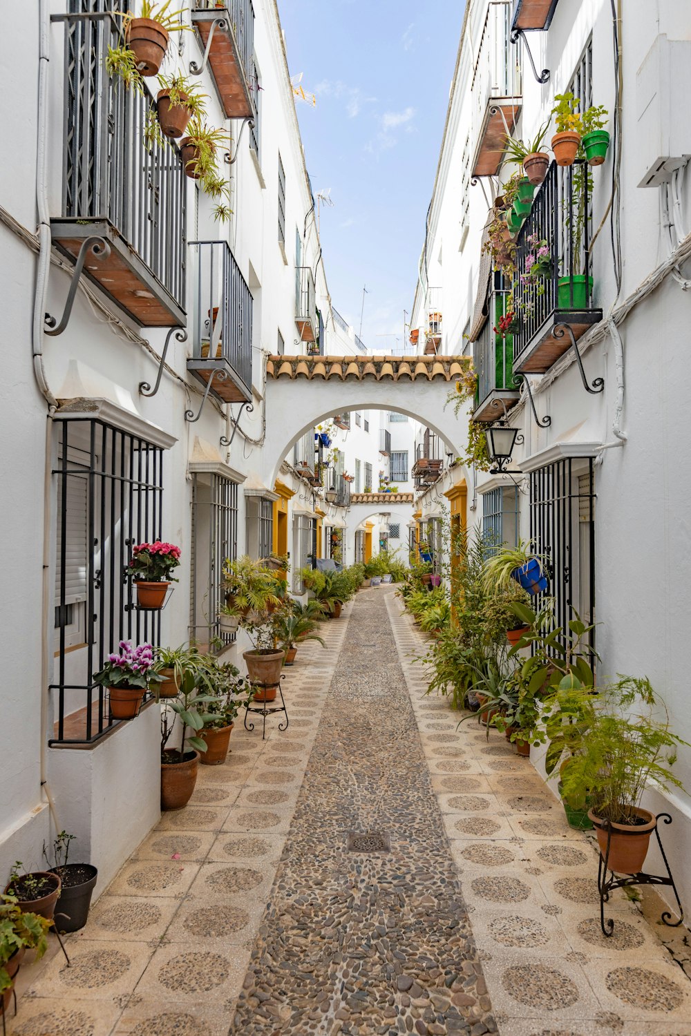 a narrow alley way with potted plants on either side