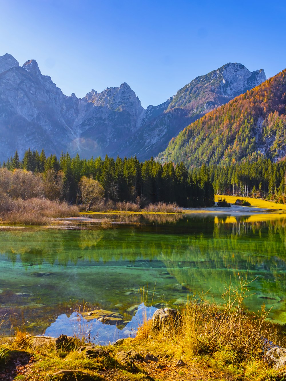 Ein von Bergen umgebener See inmitten eines Waldes