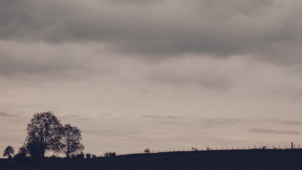 a lone tree on a hill under a cloudy sky