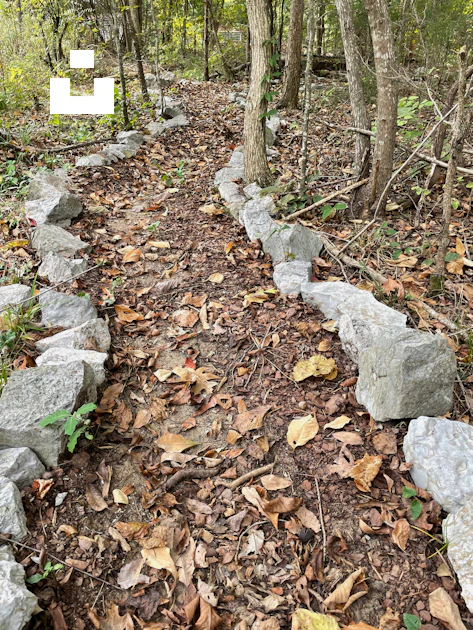 Ground With Rocks Path A path in the woods with rocks and leaves on the ground photo – Free ...