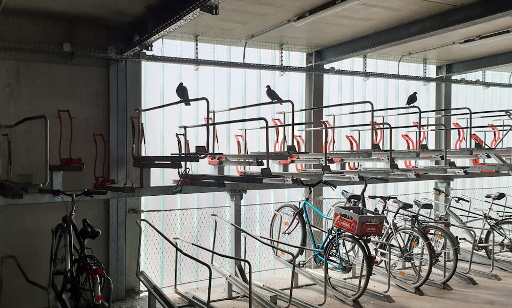 a row of bikes parked next to each other