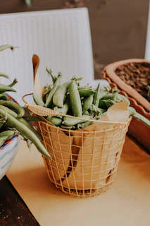 A woven basket filled with fresh chickpeas and green leaves sitting on the farm soil at sunrise.