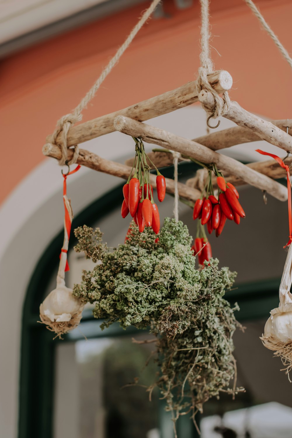 a plant hanging from a wooden beam