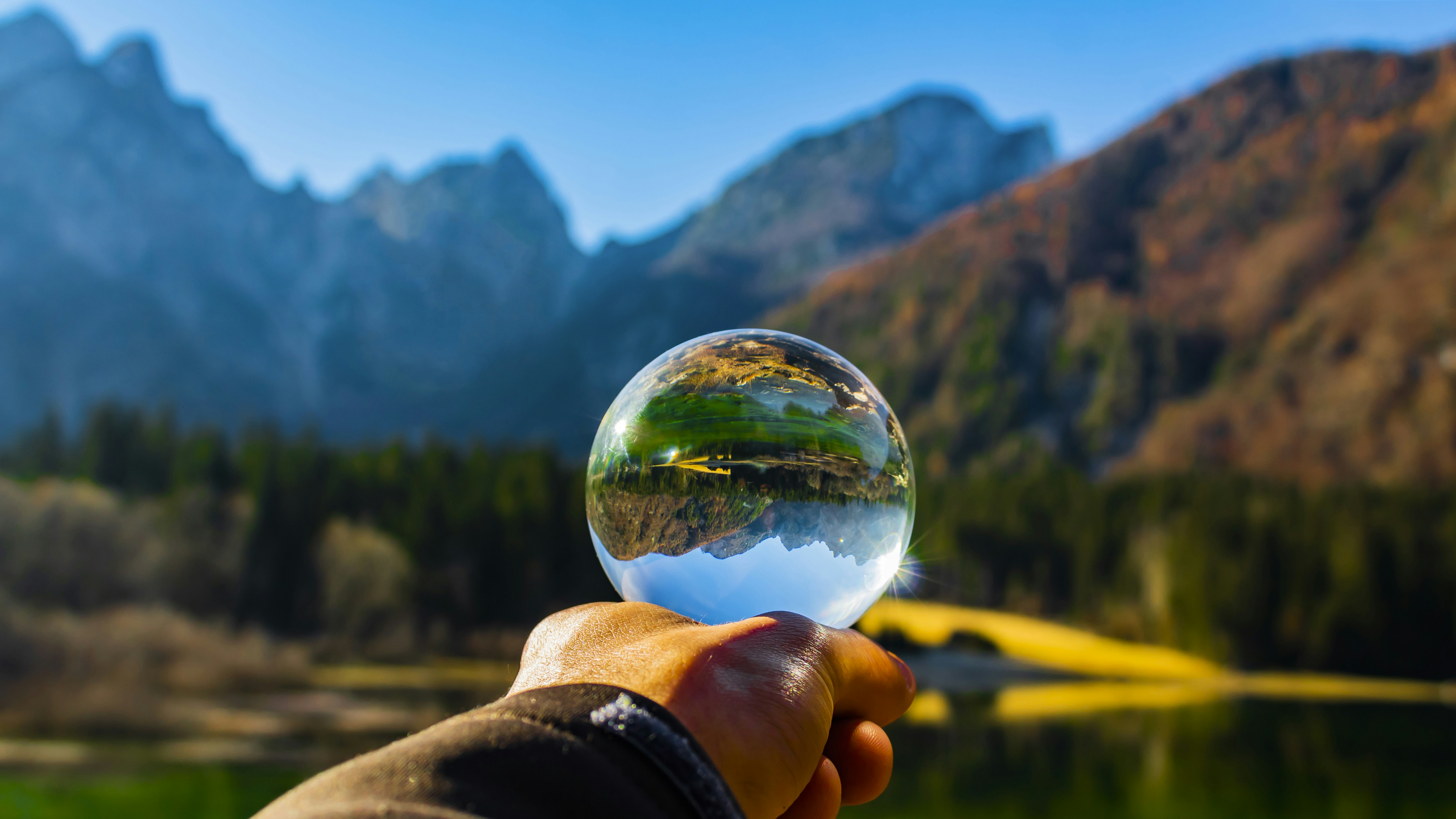 Photo by merlin_photo