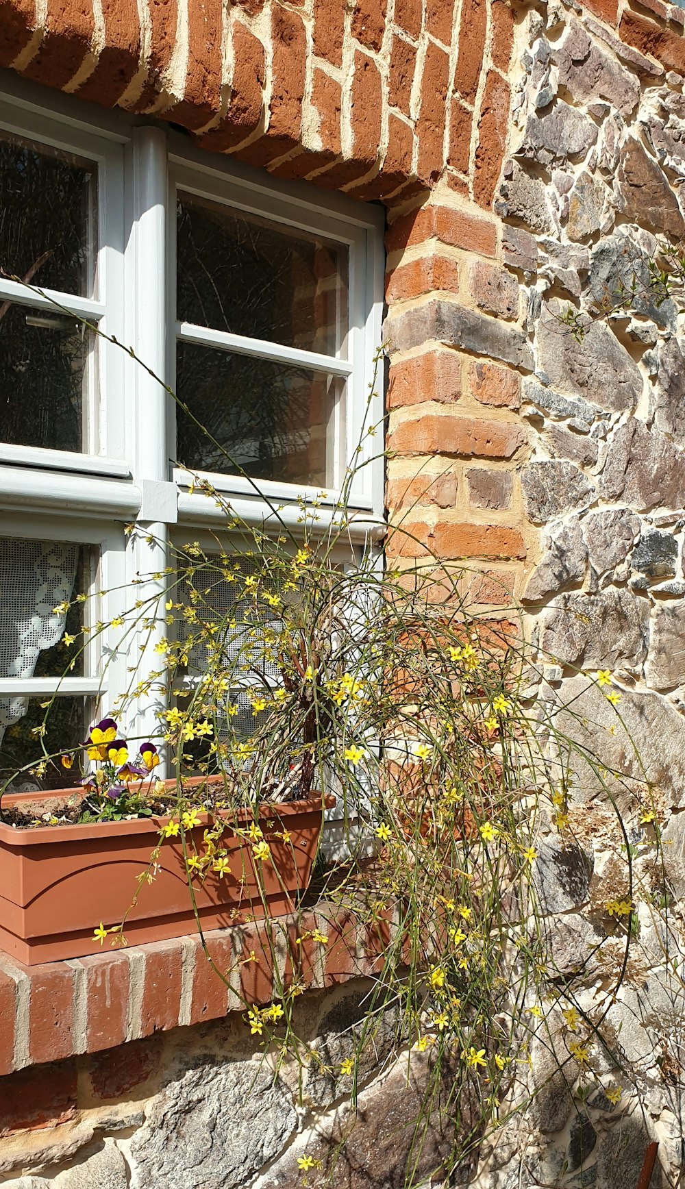 a brick building with a window and a planter