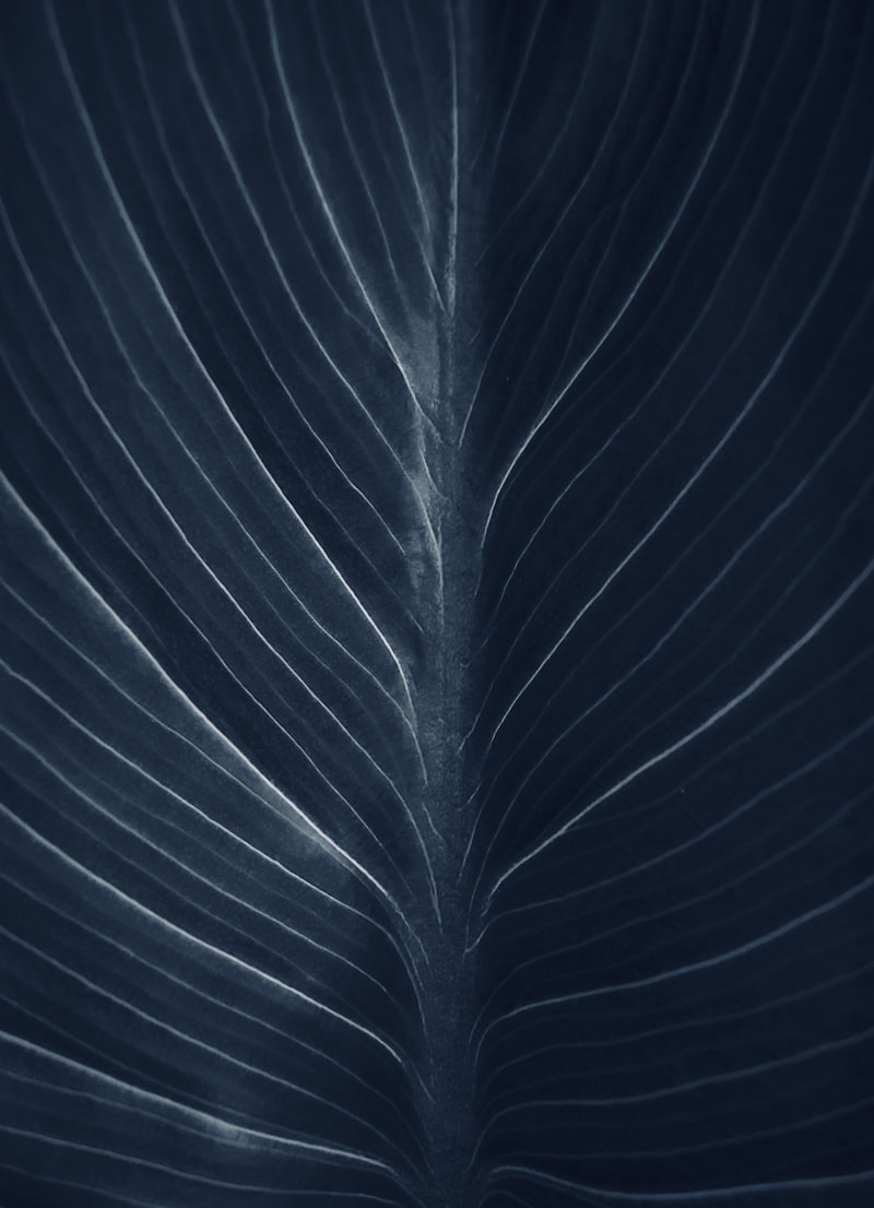 Nature Texture
