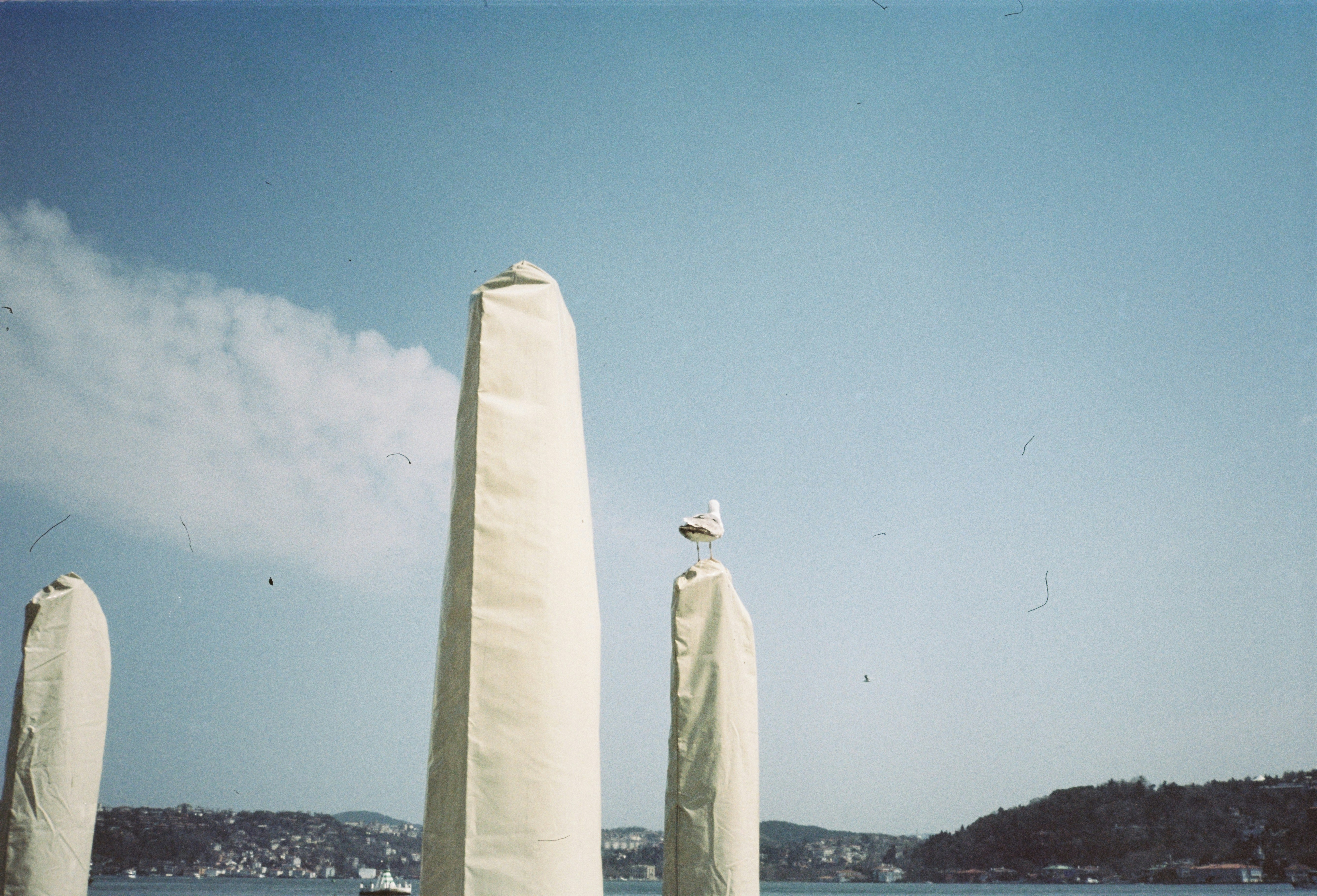 a group of white umbrellas sitting on top of a beach