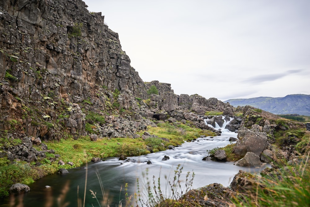 a river running through a lush green valley