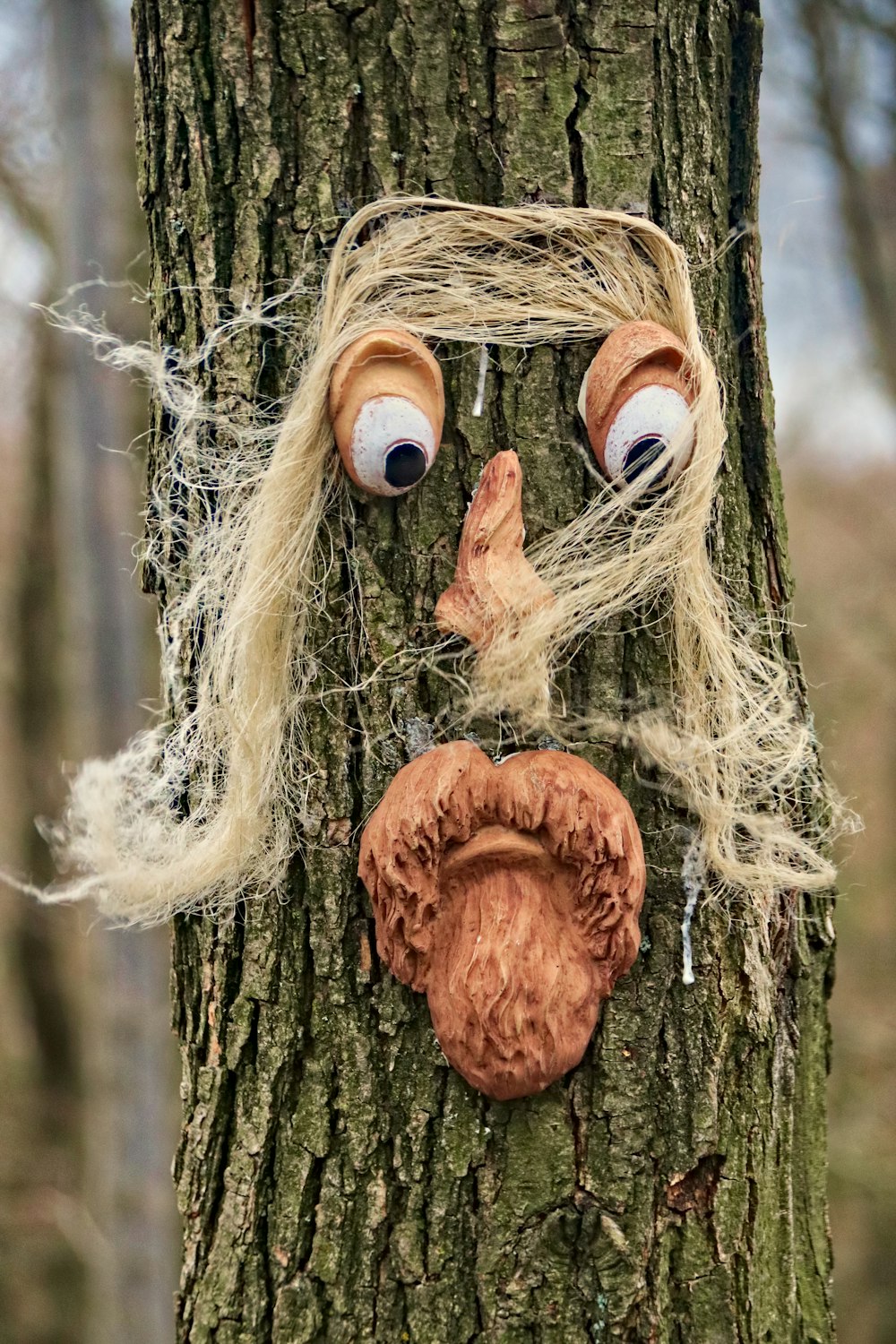 un arbre avec un visage peint dessus