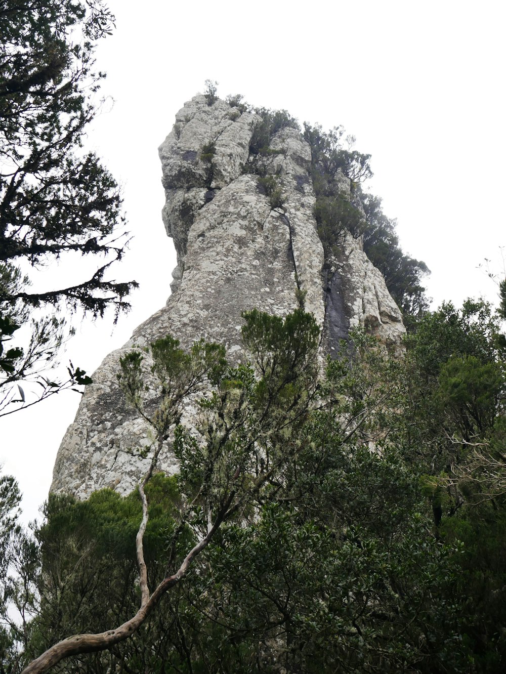 a very tall rock with trees around it