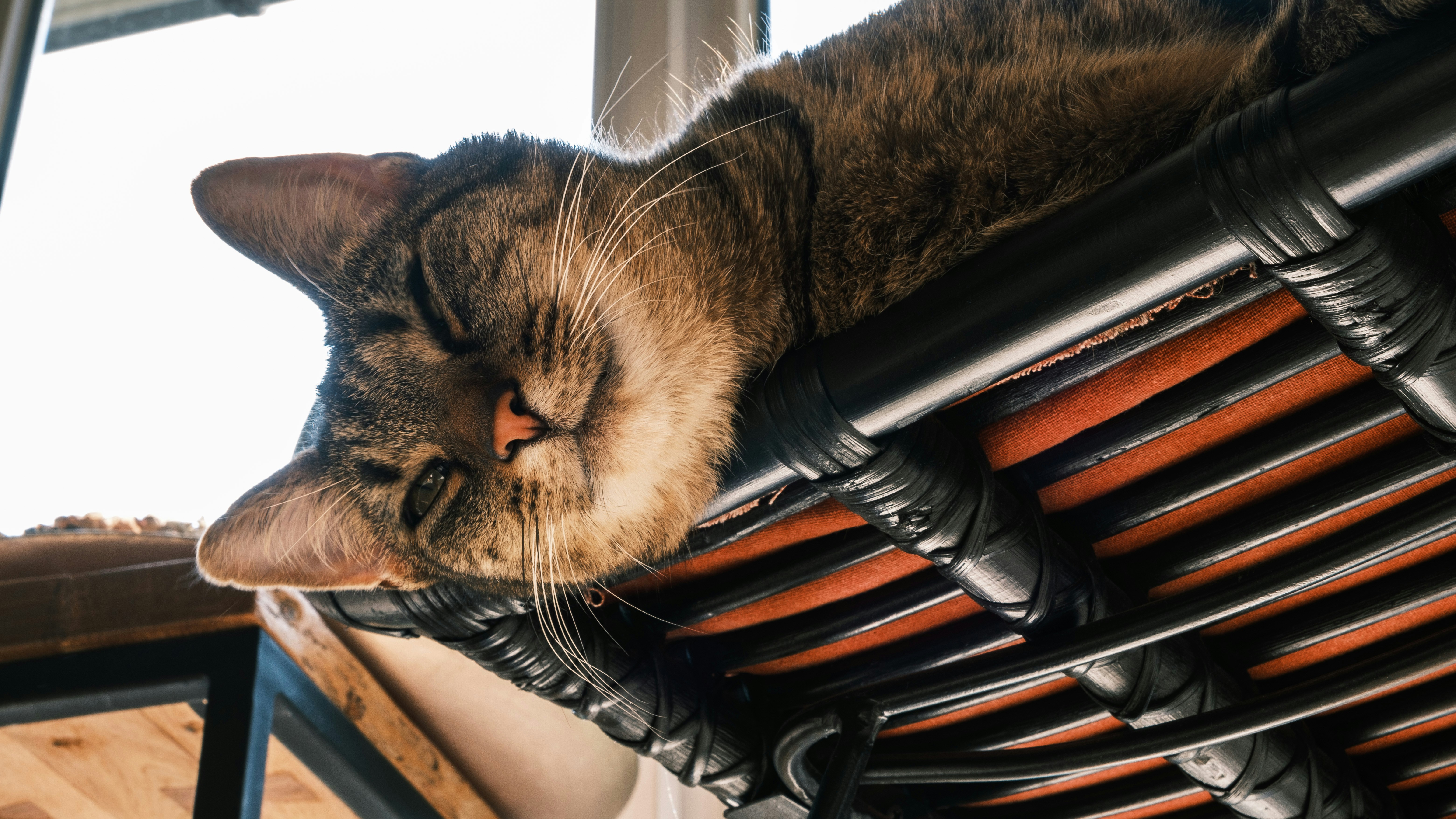 He knows all about jsvm disassembly