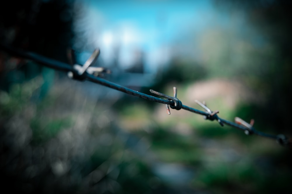 a close up of a barbed wire with a blurry background