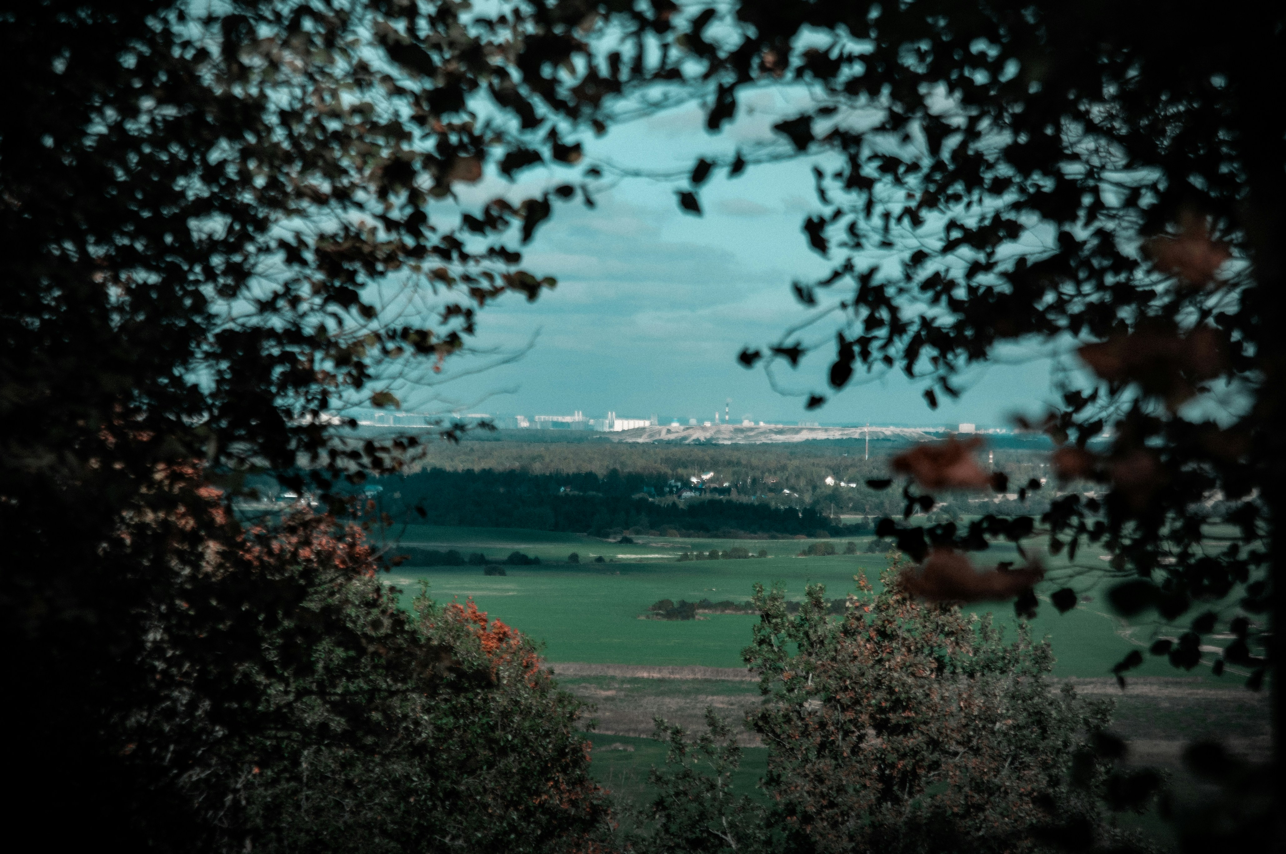 a view of a green field through some trees