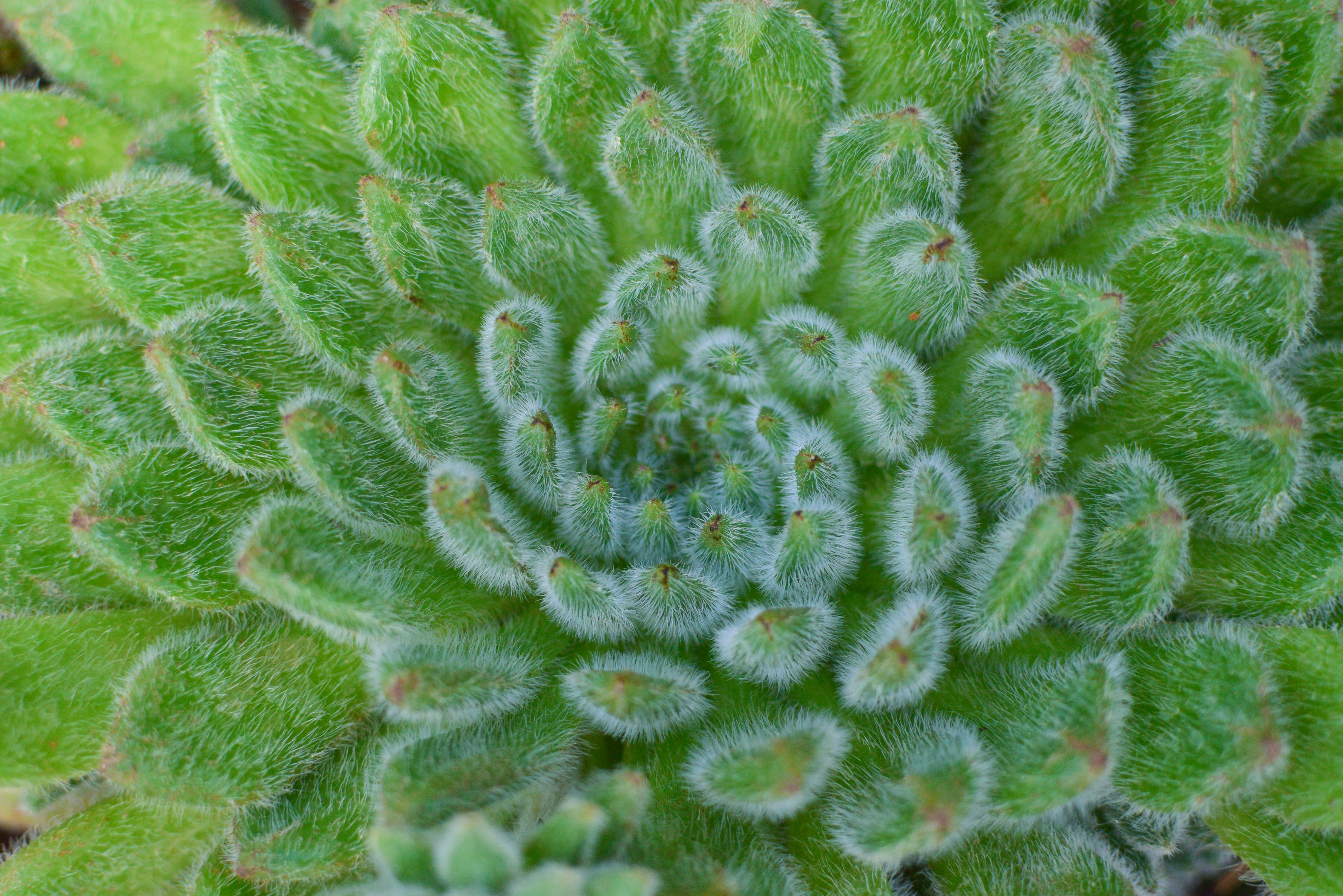 Photo by ravisangar46