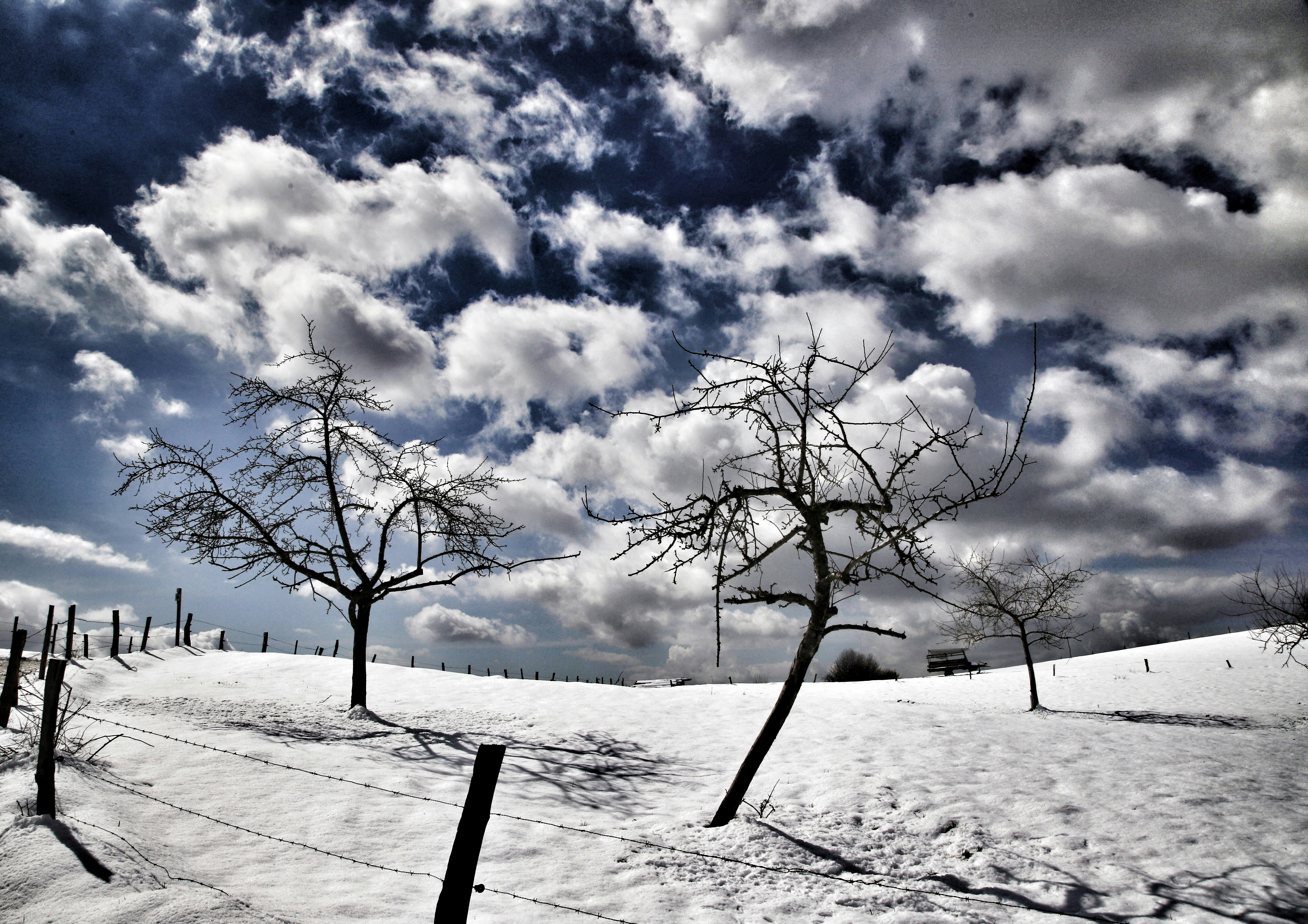 a snow covered field with trees and a fence