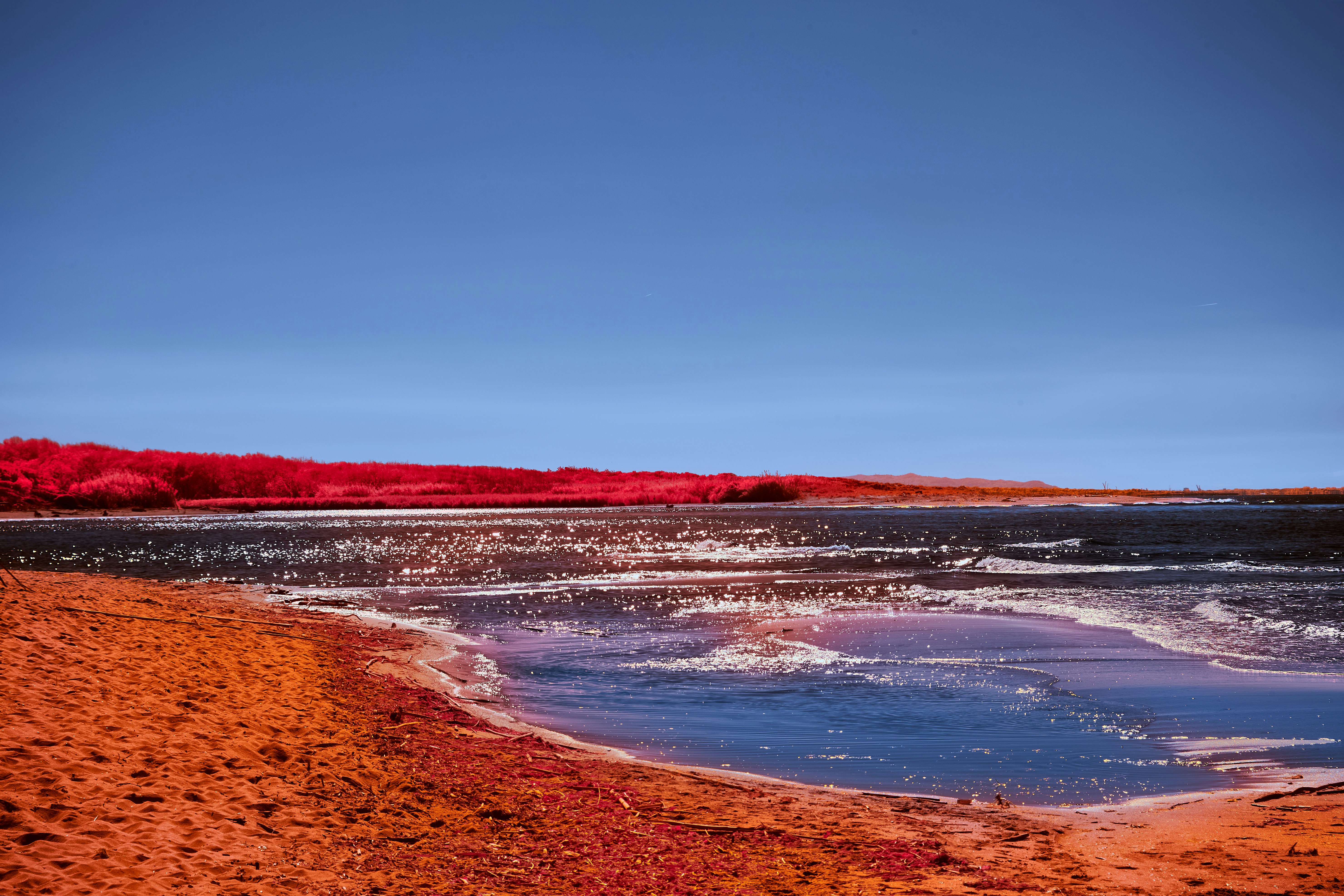 Photo by wolfgang_hasselmann