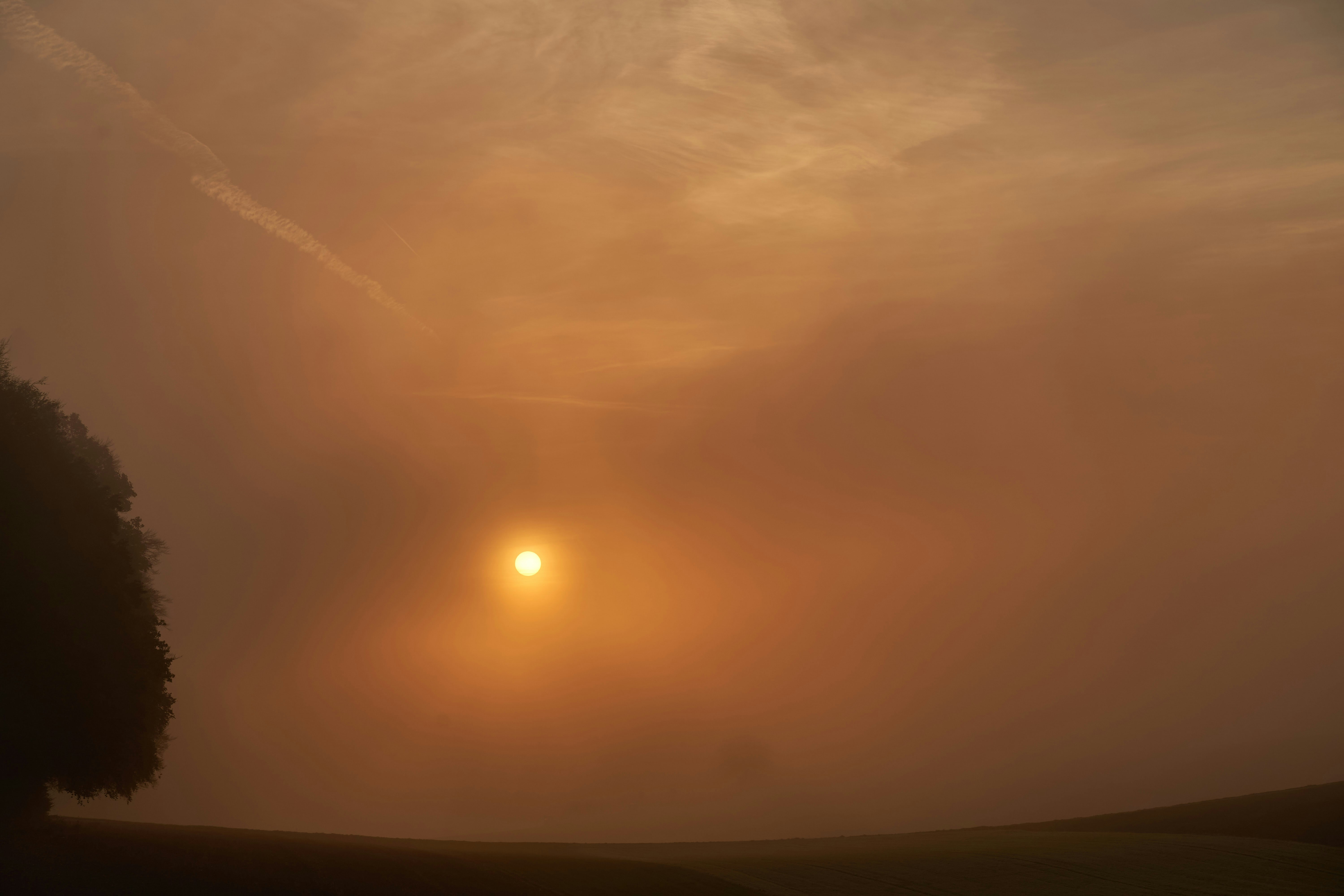 Photo by wolfgang_hasselmann