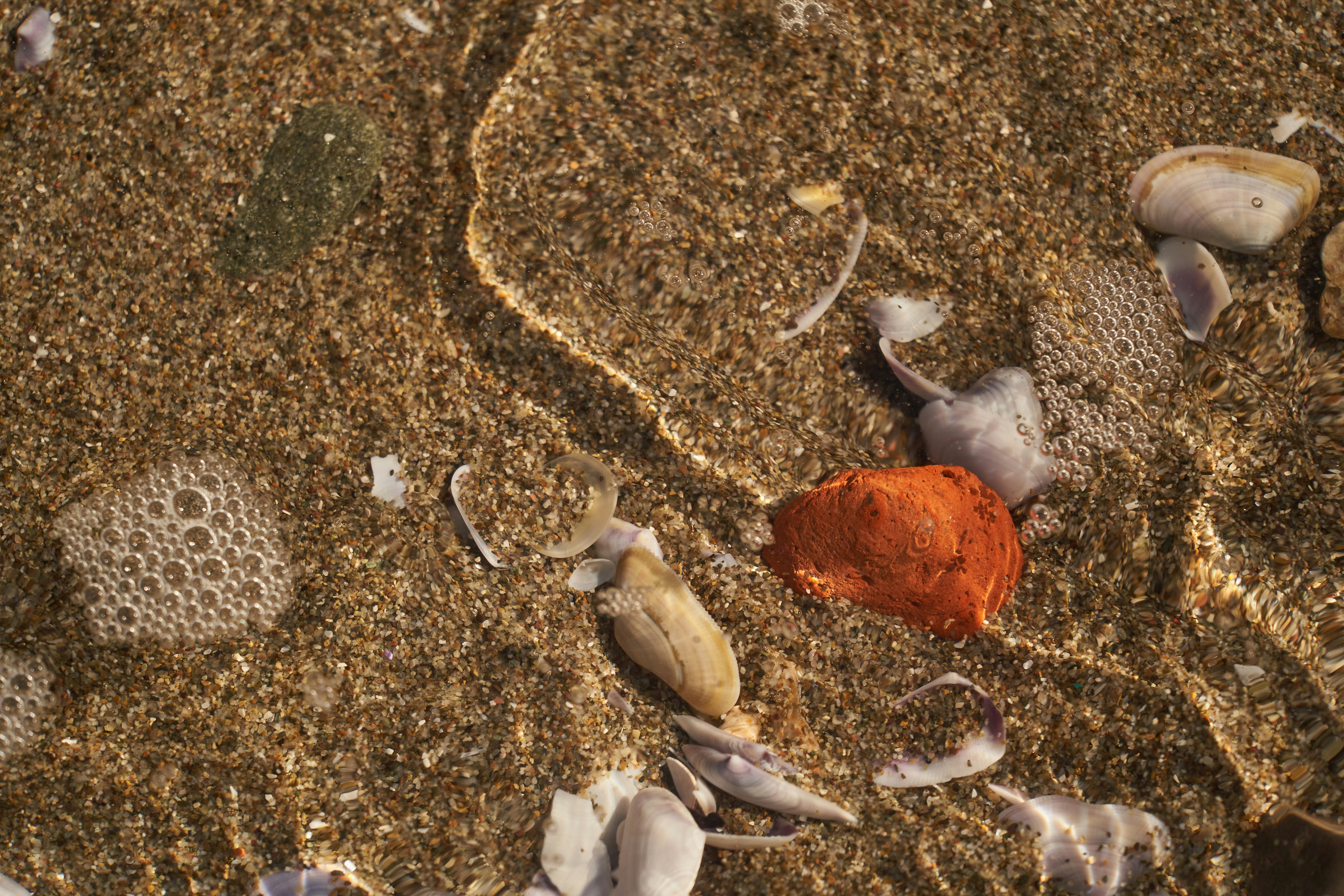 Photo by wolfgang_hasselmann