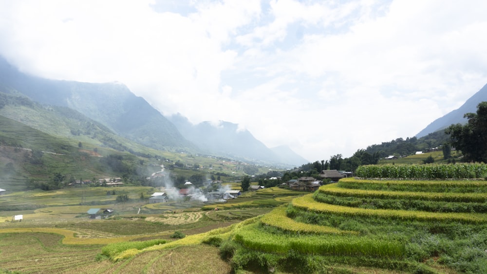 a lush green valley filled with lots of green grass