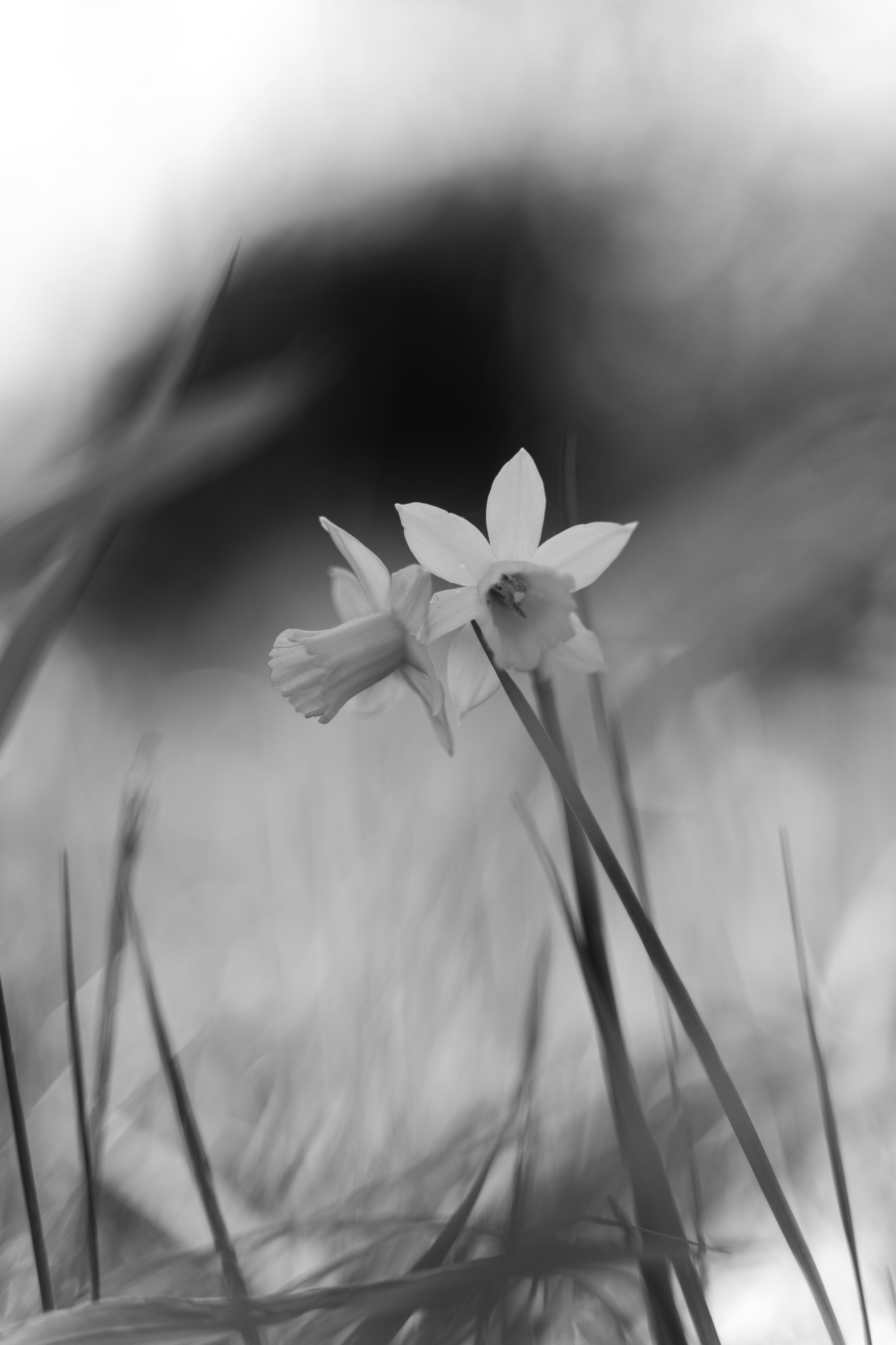 Photo by gabiontheroad