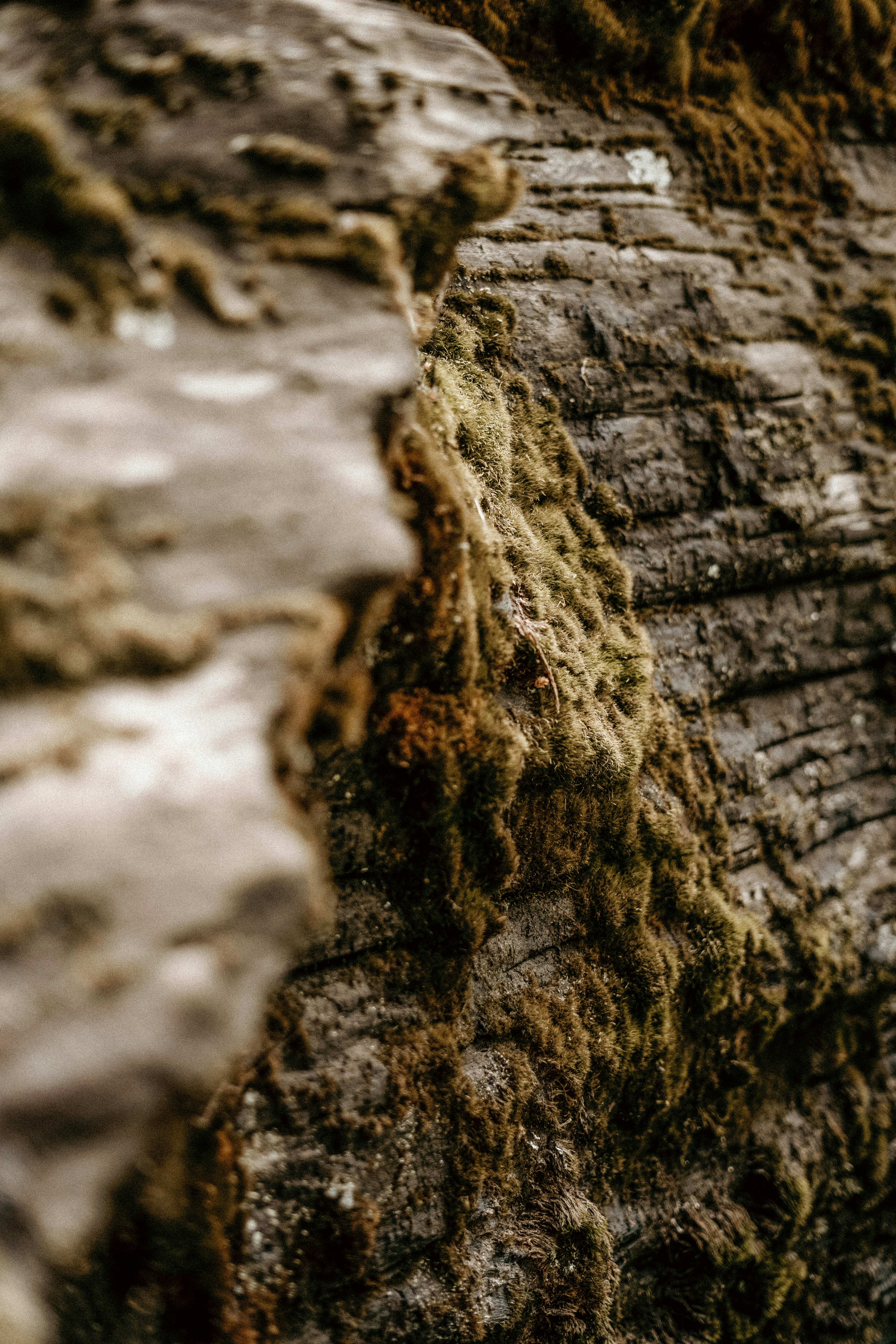 Photo by dubai_love_story