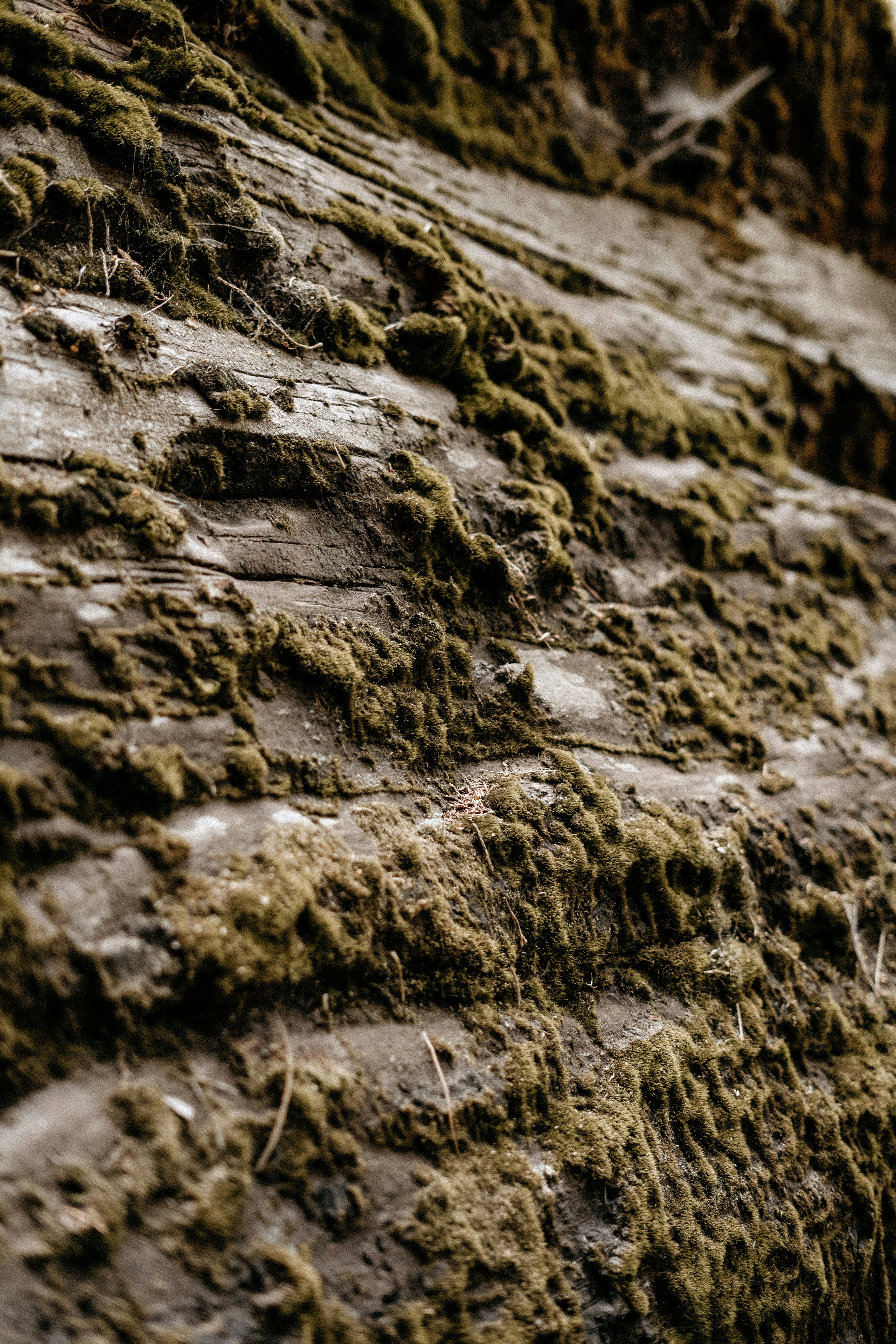 Photo by dubai_love_story