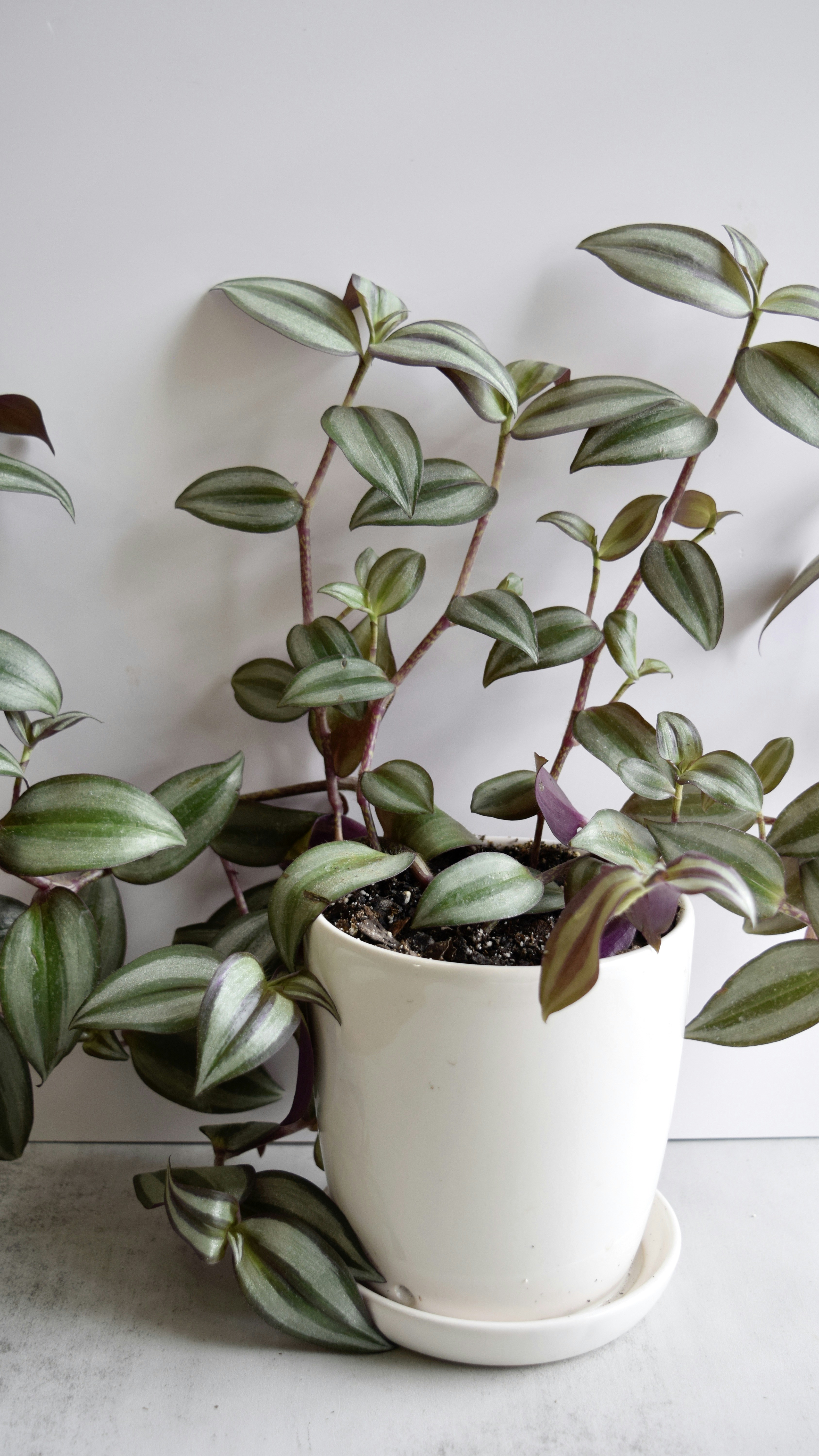 Photo by triciatimney