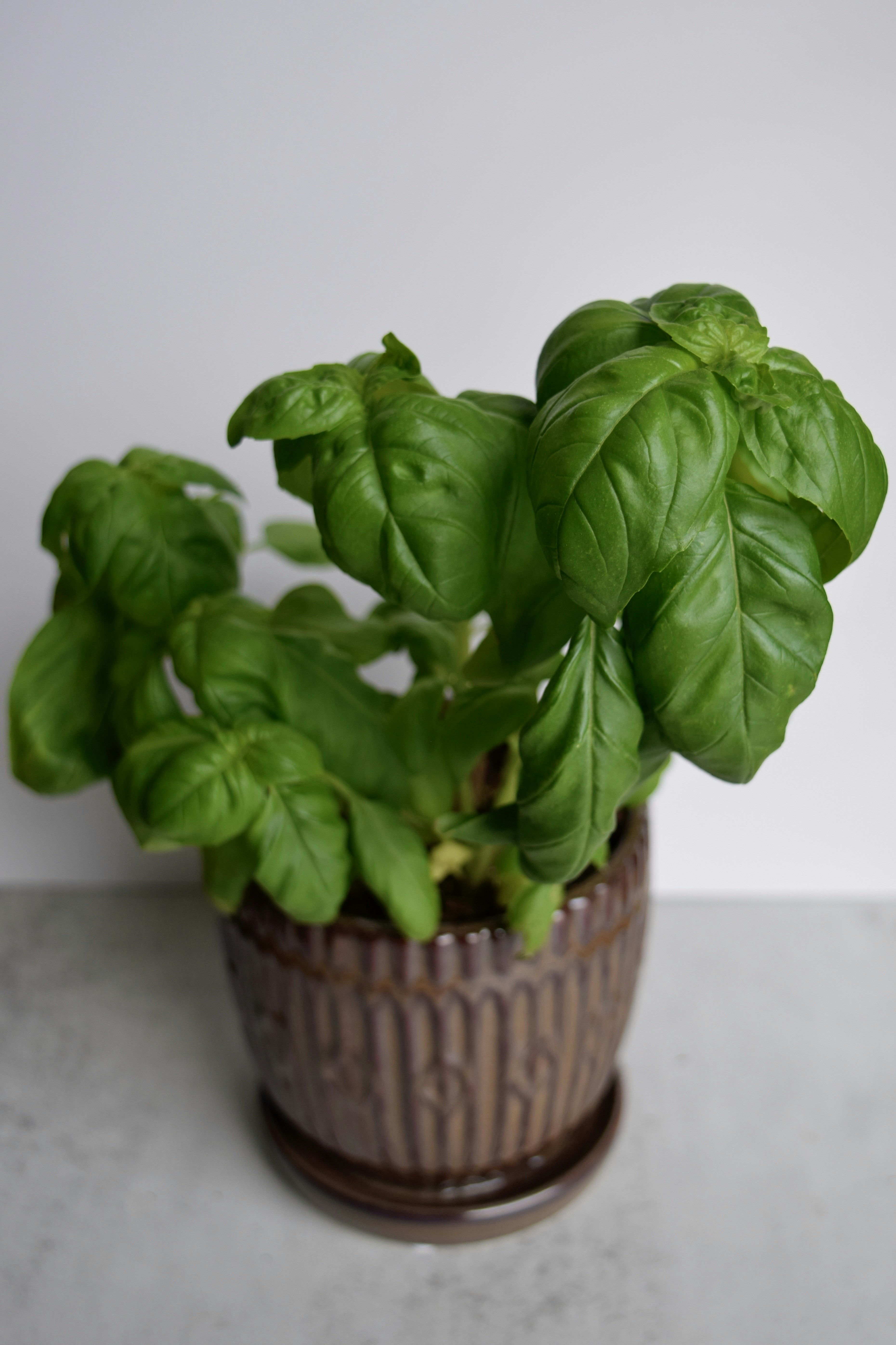 Photo by triciatimney