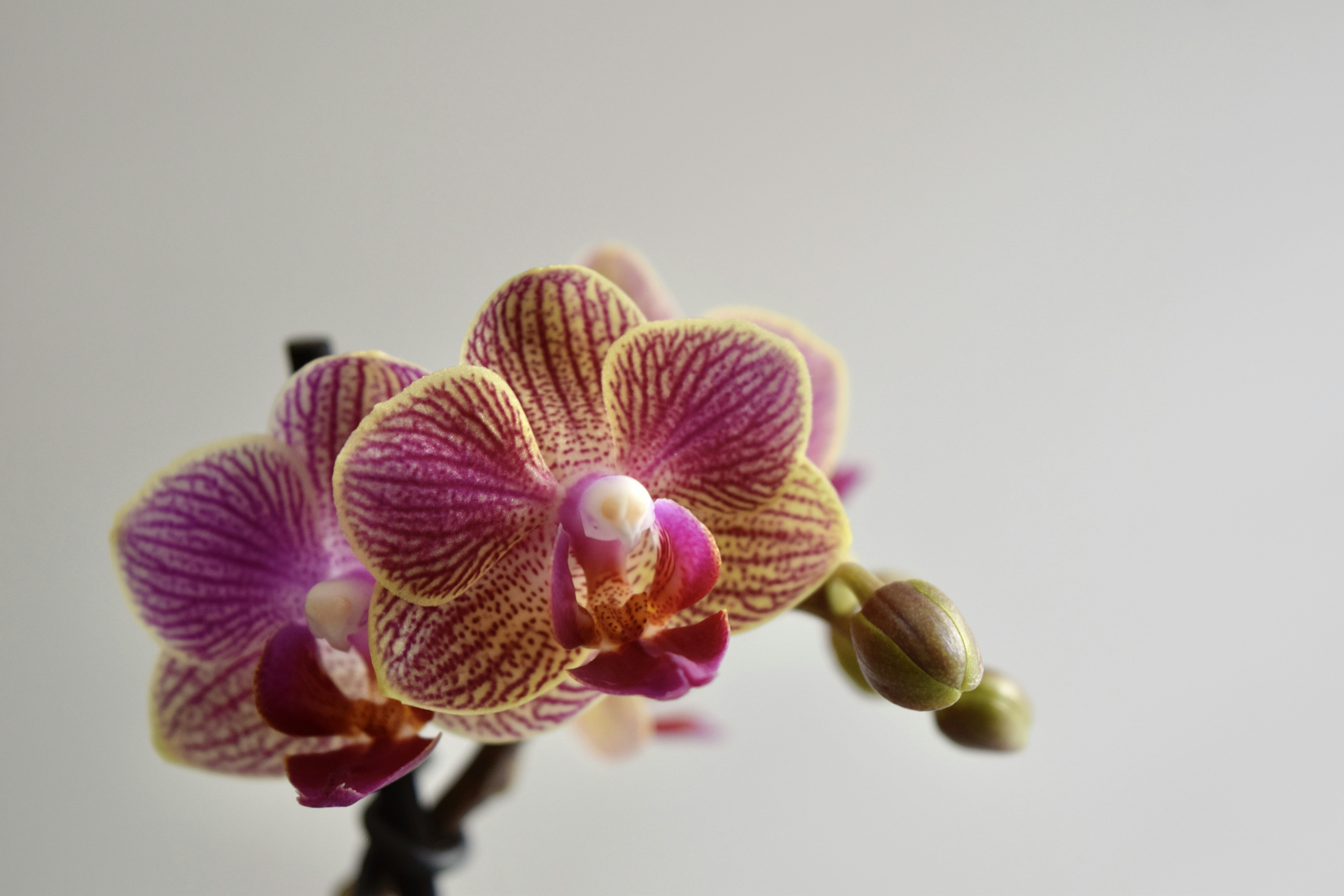 Photo by triciatimney