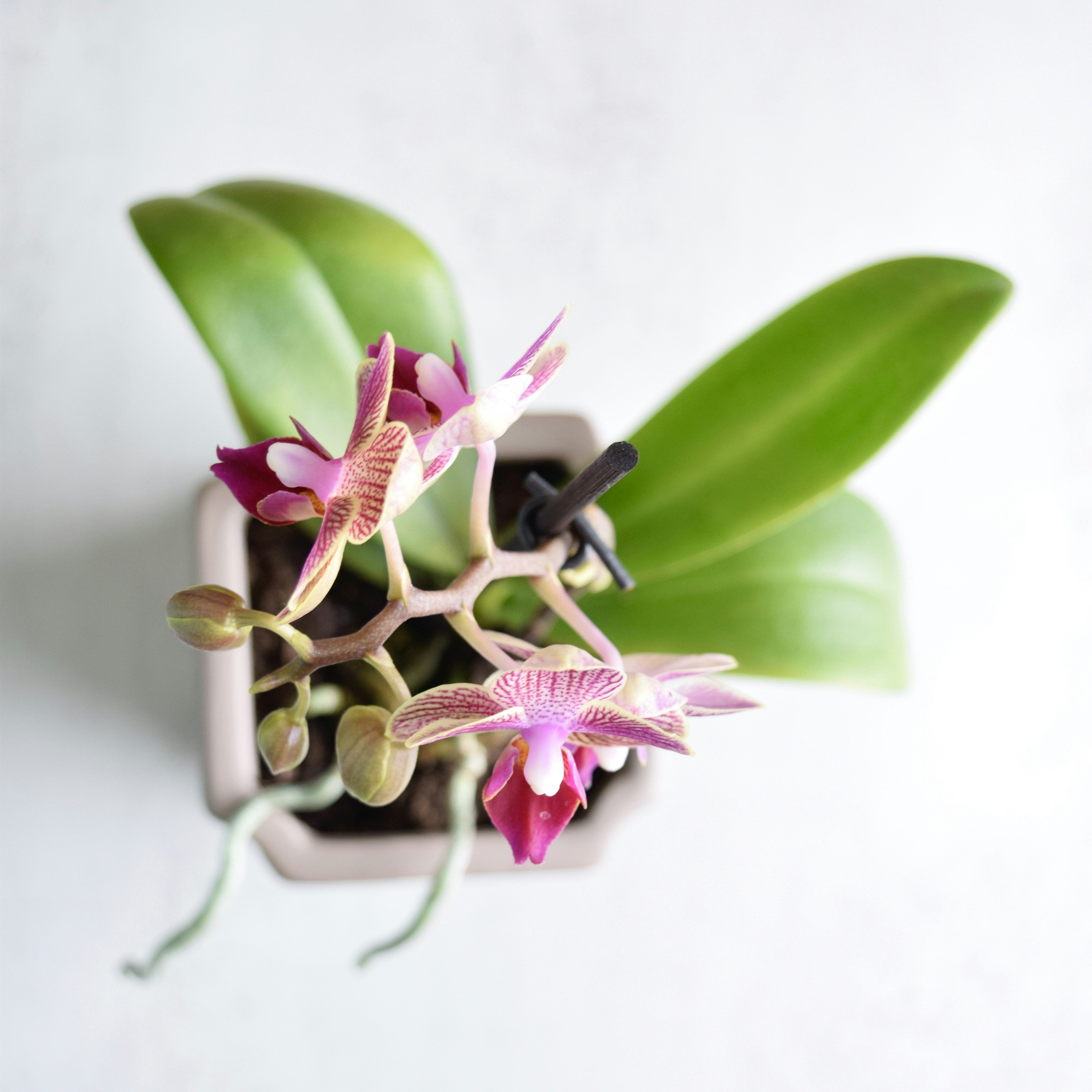 Photo by triciatimney