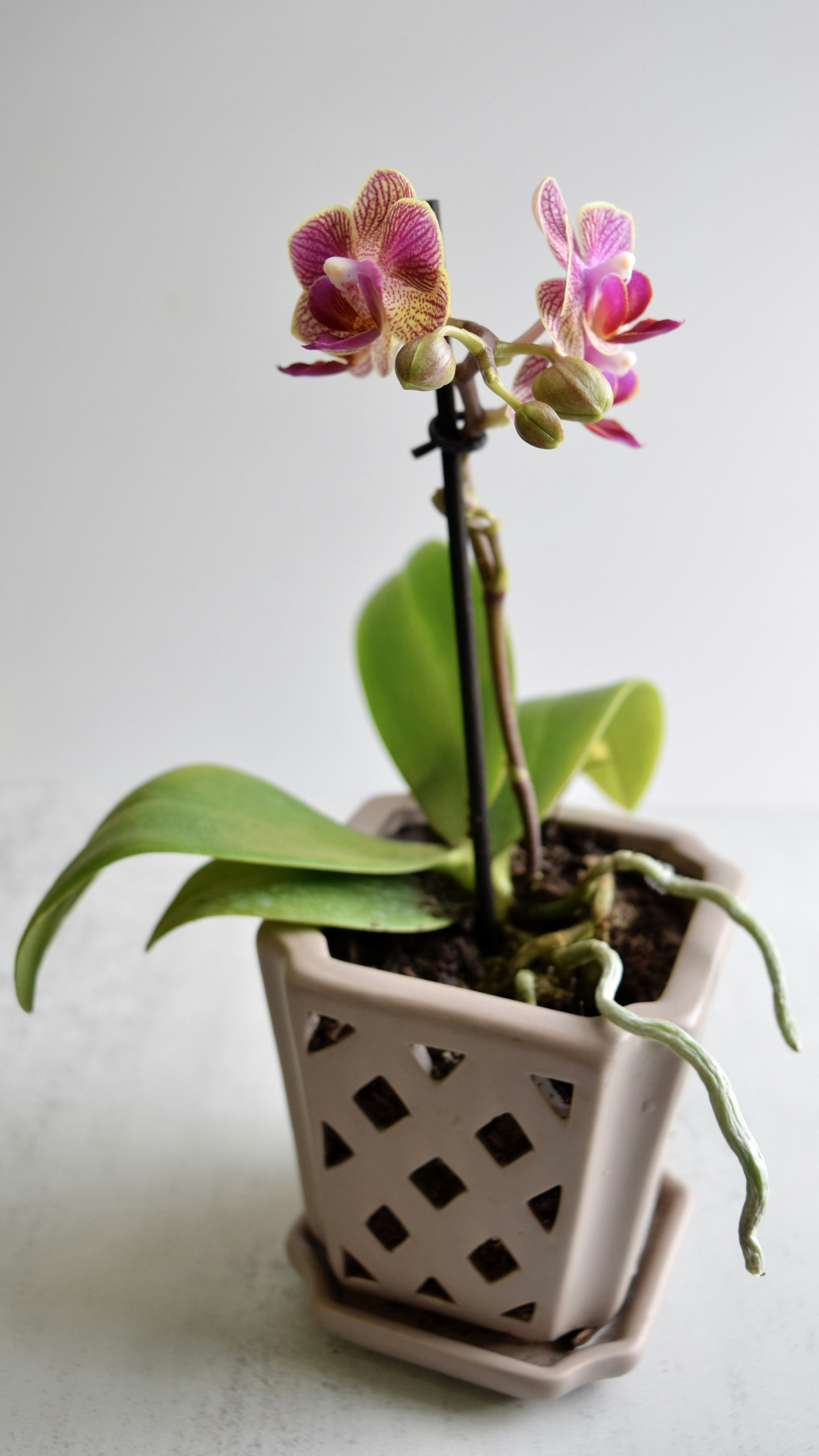 Photo by triciatimney