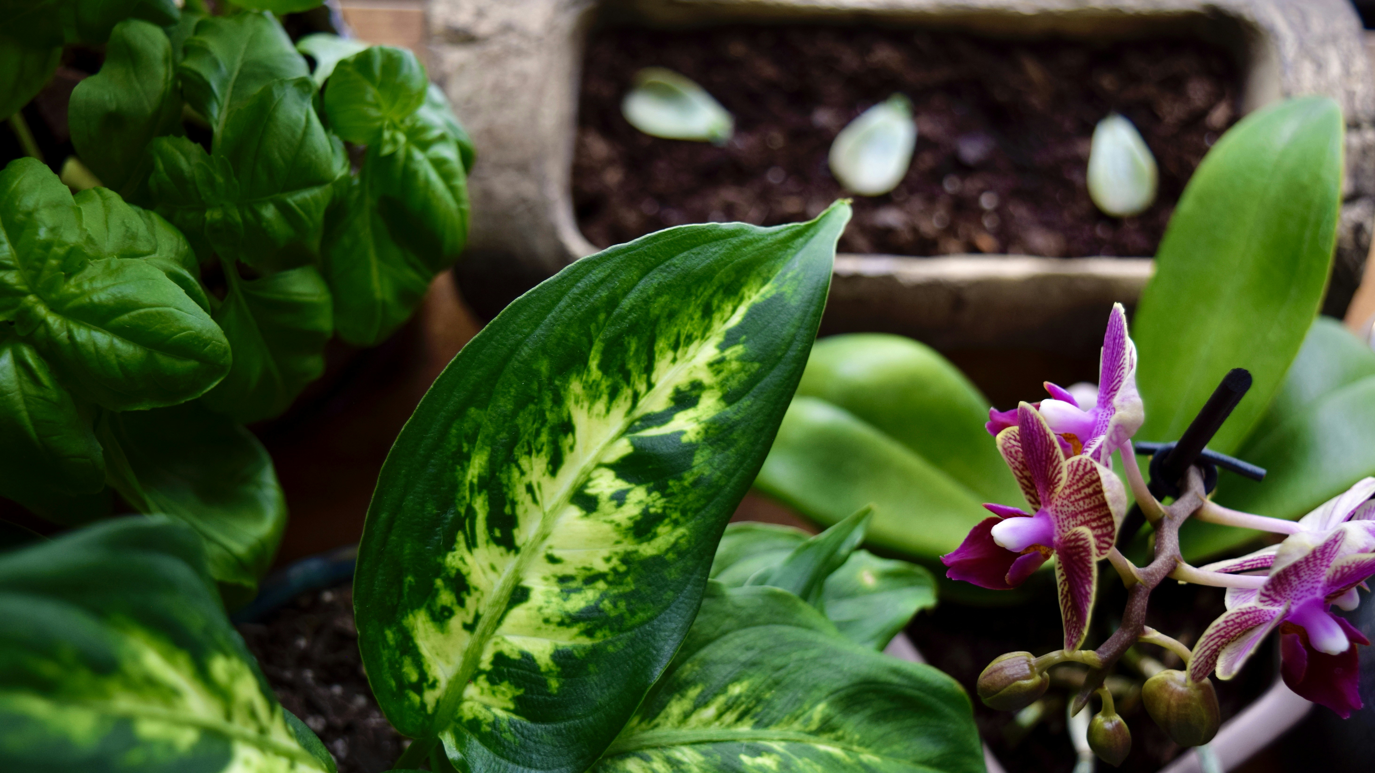 Photo by triciatimney