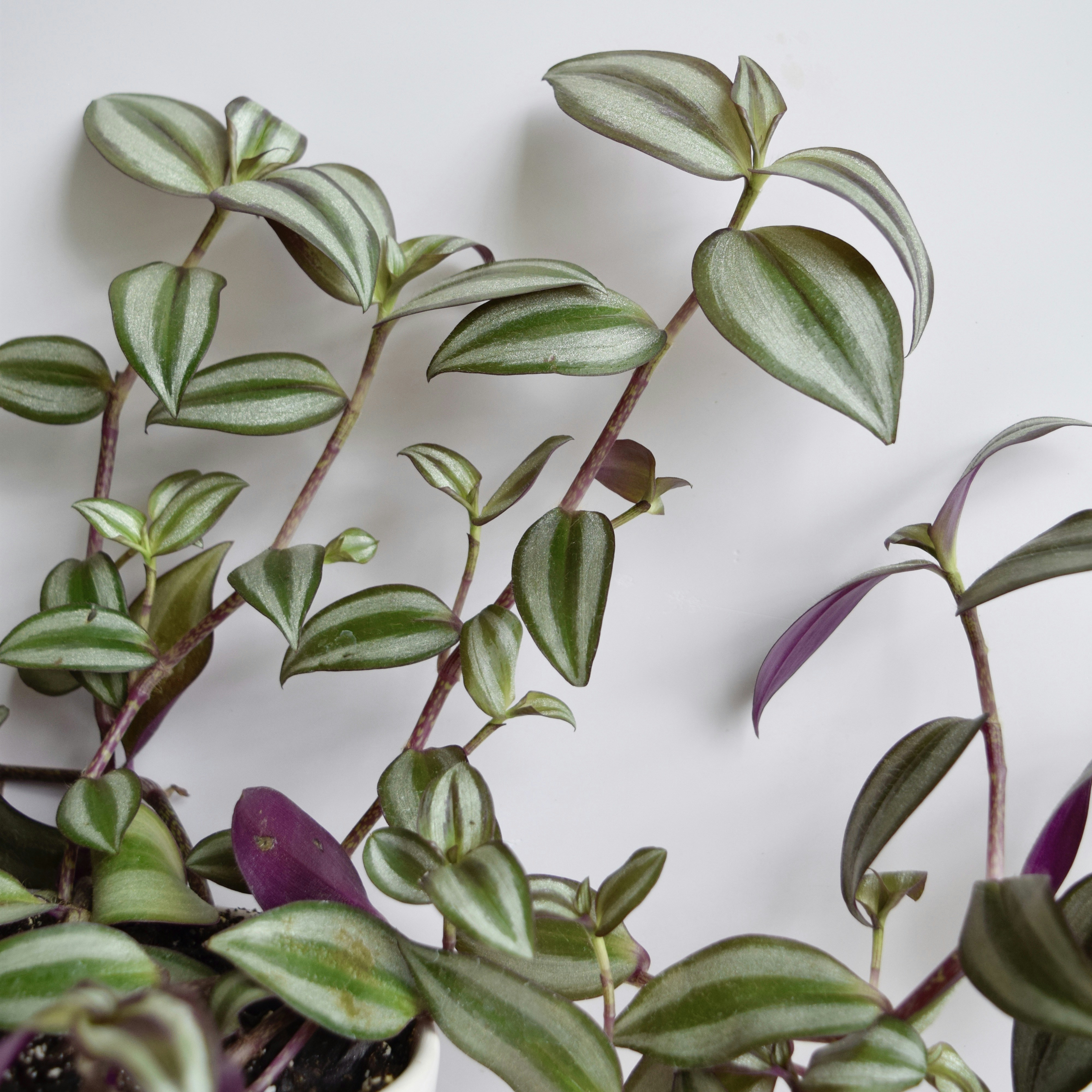 Photo by triciatimney