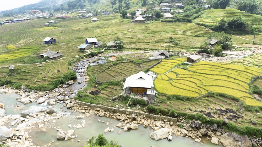 an aerial view of a rice field with a river running through it