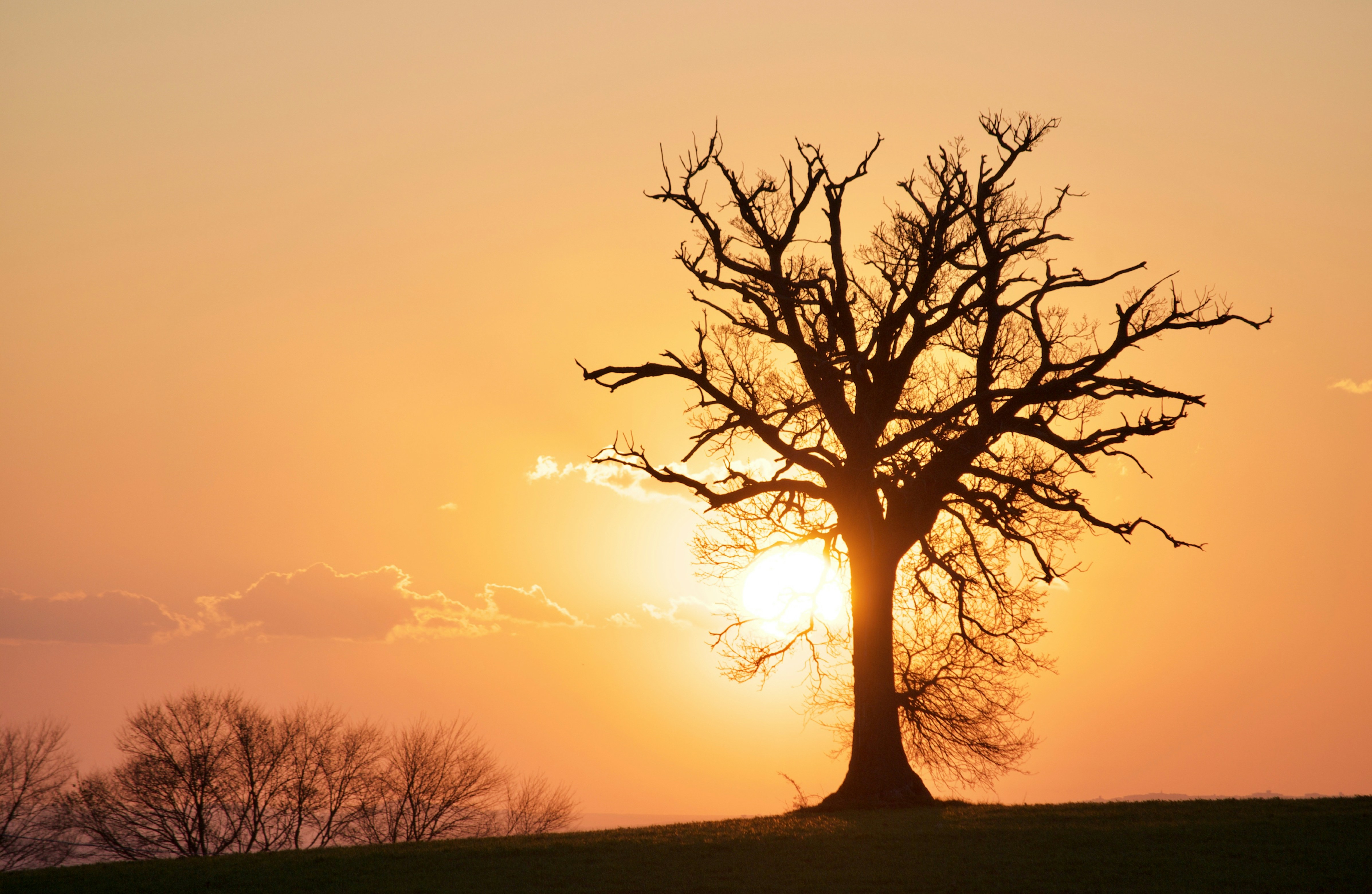 Photo by mariobeducci