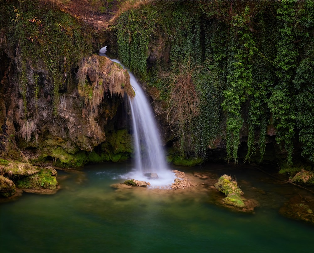 a waterfall with a bird sitting on top of it