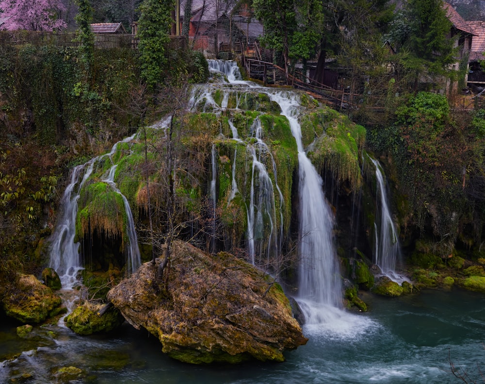 a waterfall surrounded by trees