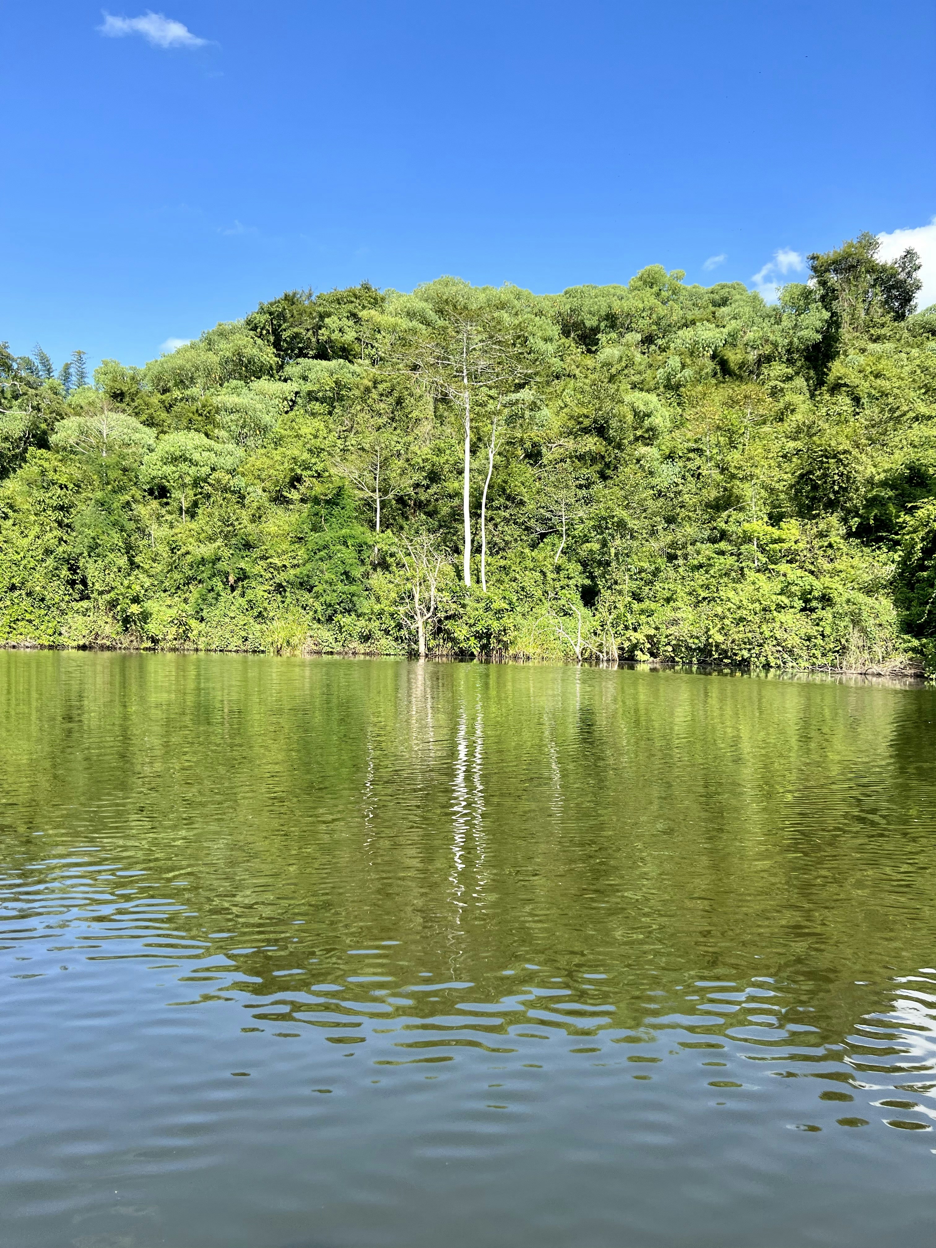 Photo by bonifacechengula