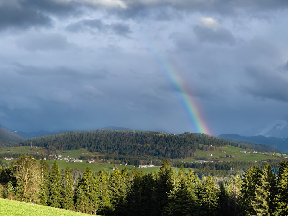 a rainbow in the sky over a lush green field