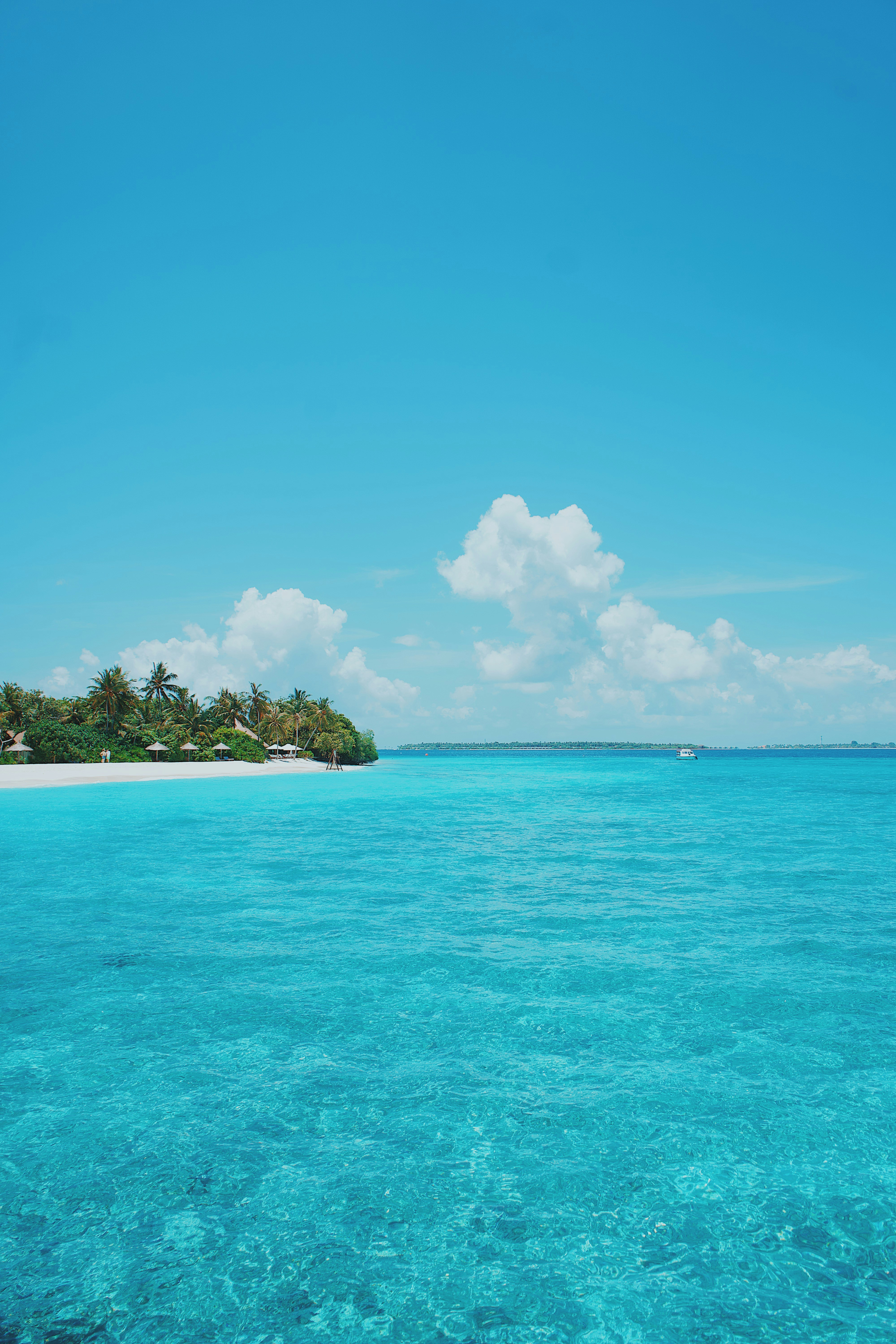 Photo by jonathanneversleeps