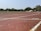A running track with white lane markings, scattered yellow petals, and a red corner flag. The track curves slightly to the right. Surrounding the track are green grass and a row of trees. Buildings are visible in the background under a clear sky.