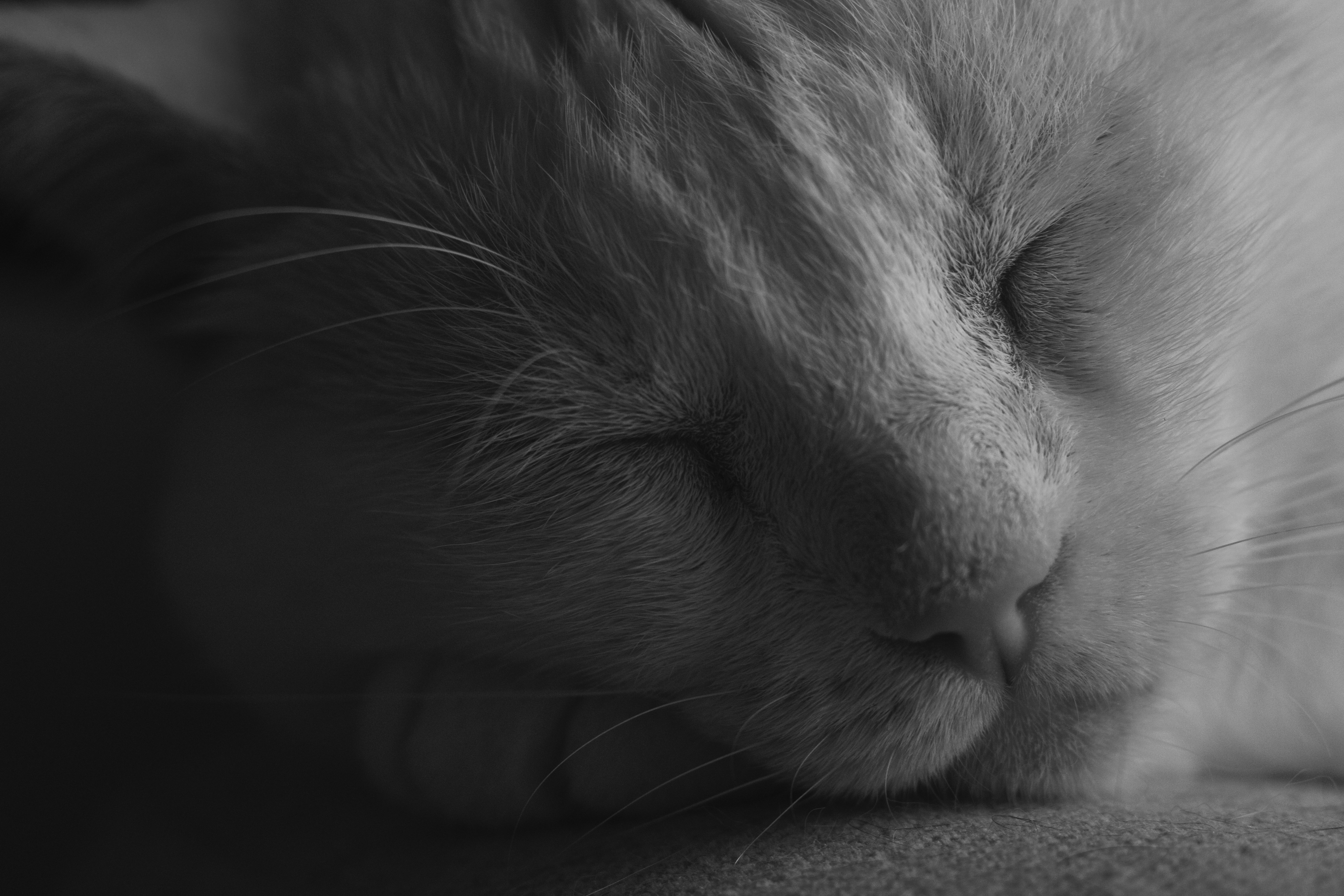 Photo by gabrieluizramos