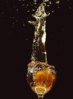 A vibrant brand shoot featuring bold colors and dynamic motion graphics in action.