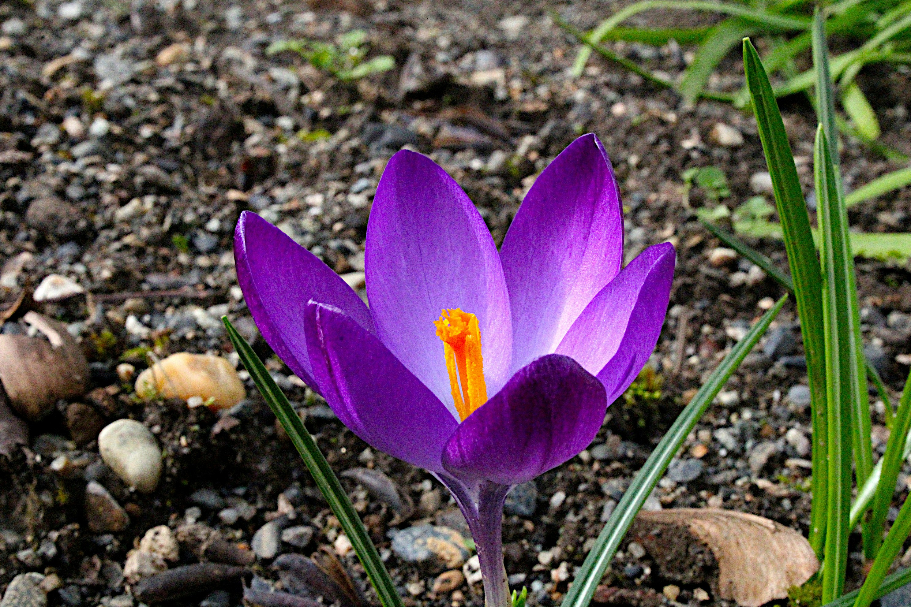 Photo by isaacstevenlind