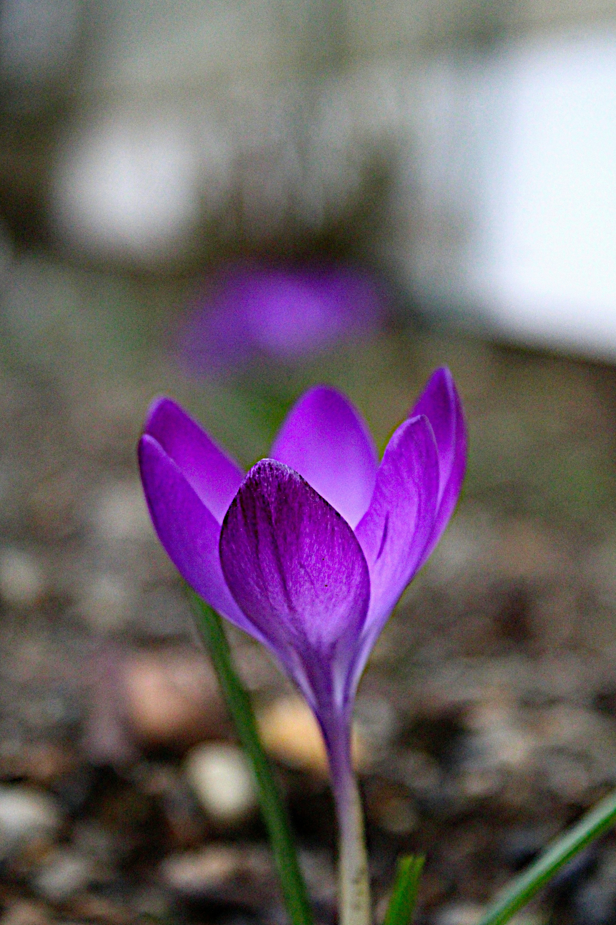 Photo by isaacstevenlind