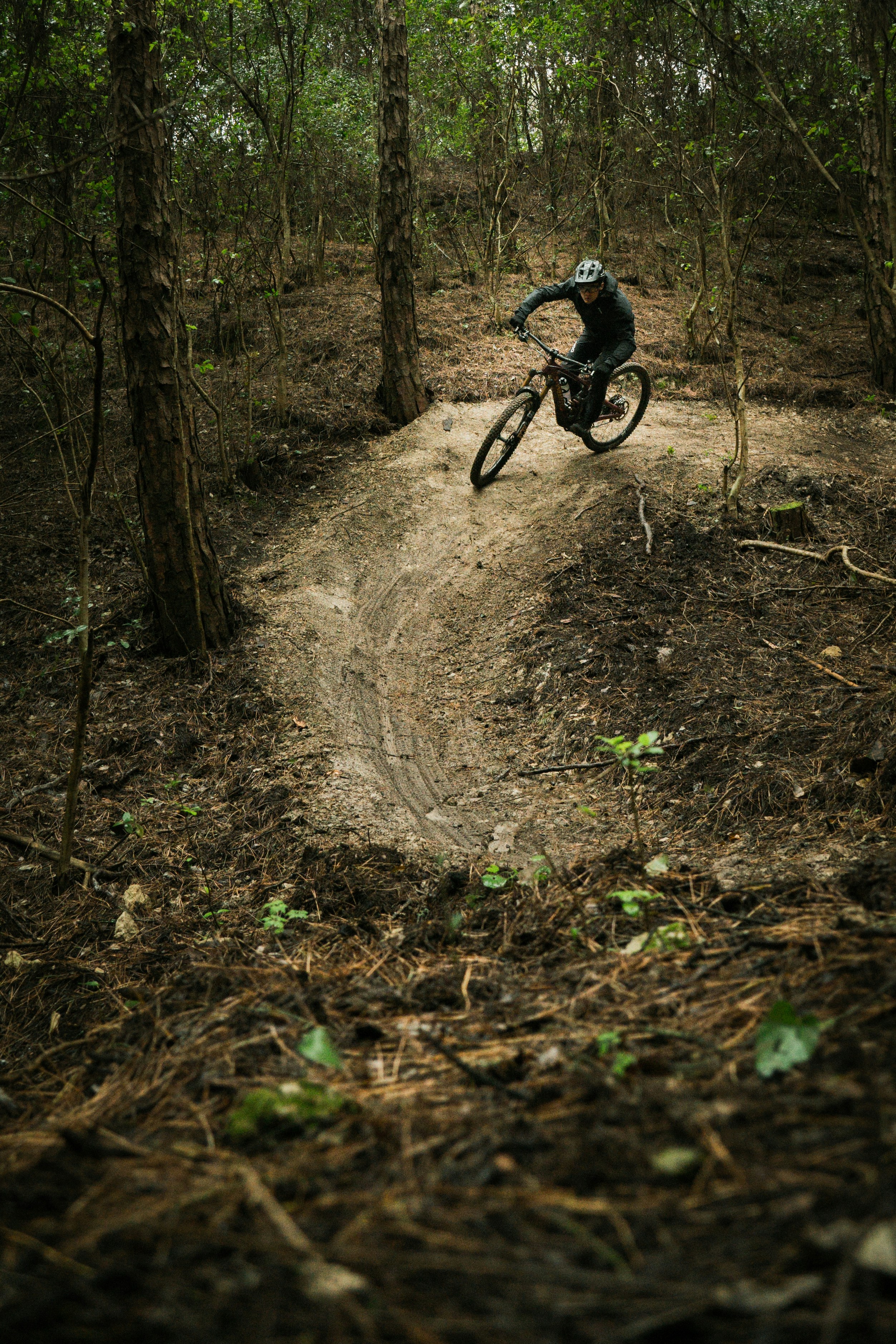 Photo by miguelmendes