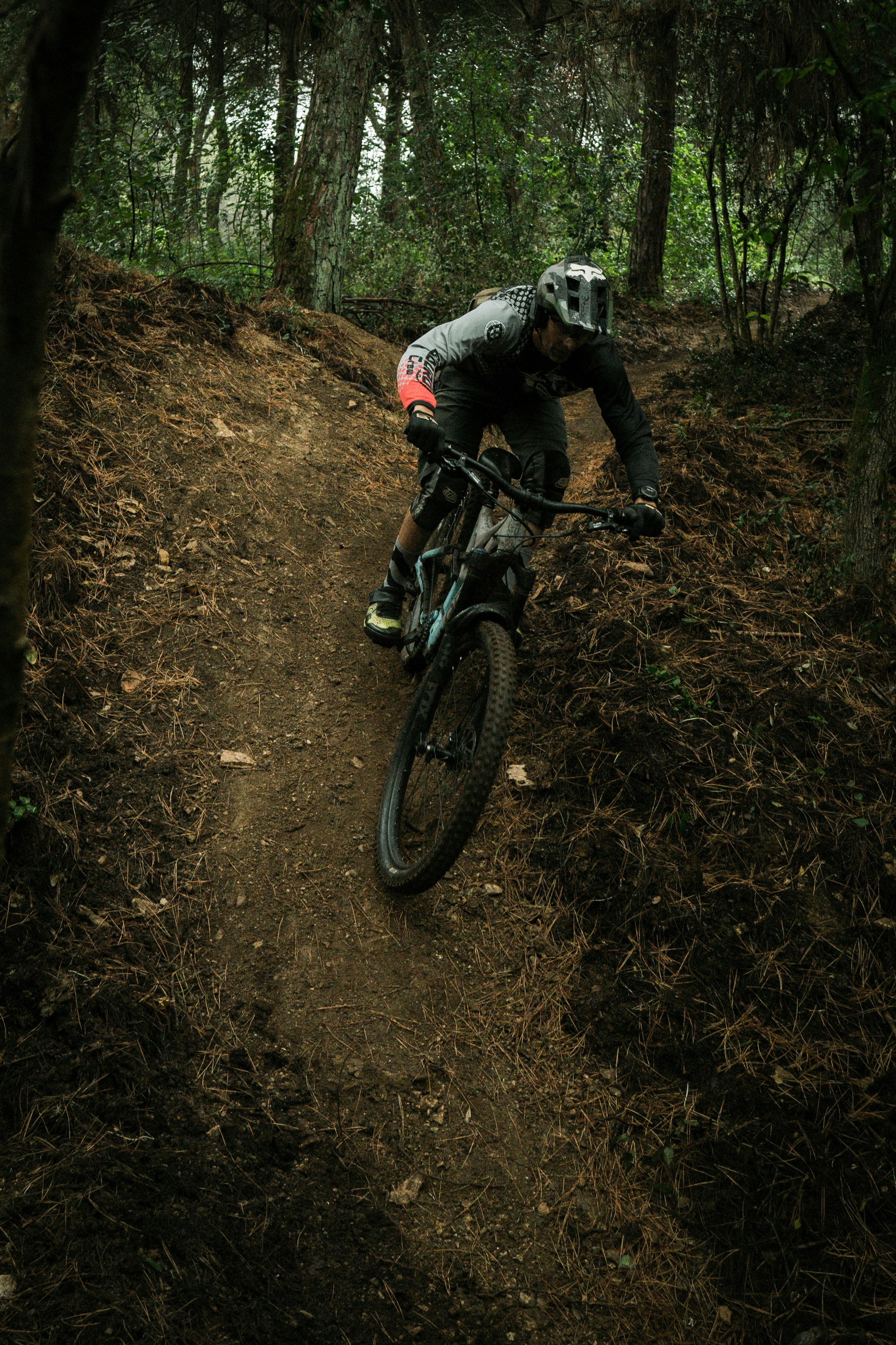 Photo by miguelmendes