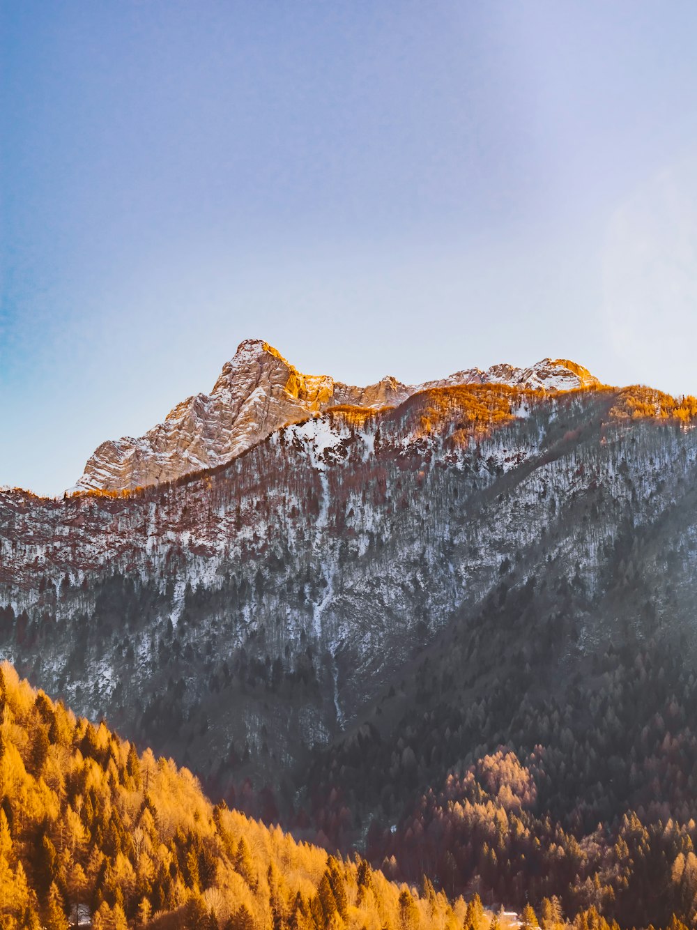 a view of a snowy mountain with trees in the foreground