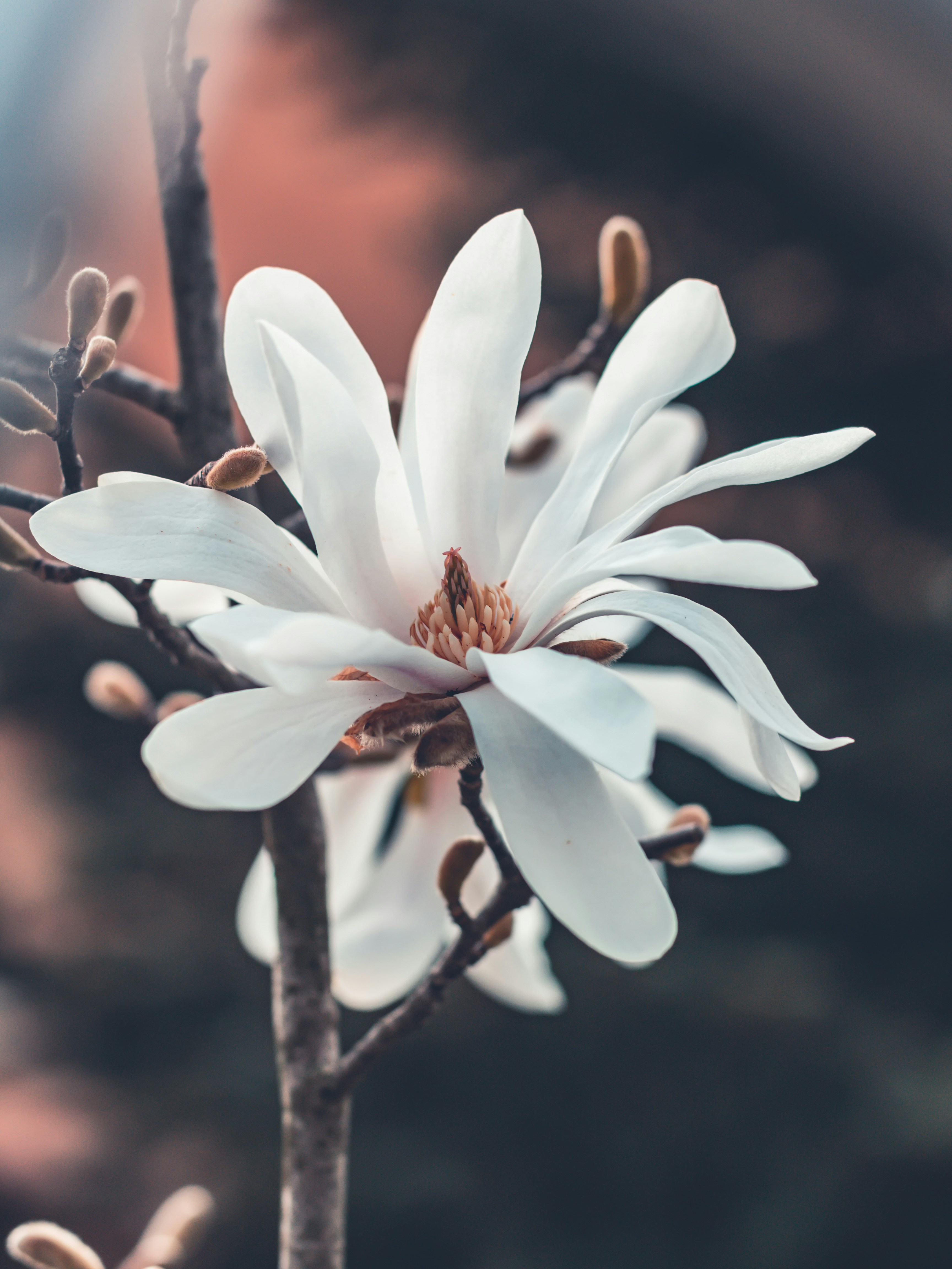 Photo by merlin_photo